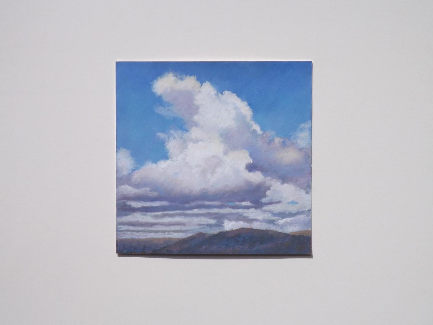 <p>Artist Comments<br />Clouds are challenging, but fun to paint, says Patricia Prendergast. They must appear voluminous, but airy. They must appear to hover overhead and recede into the far distance. Their colors can go from dancing lights to
