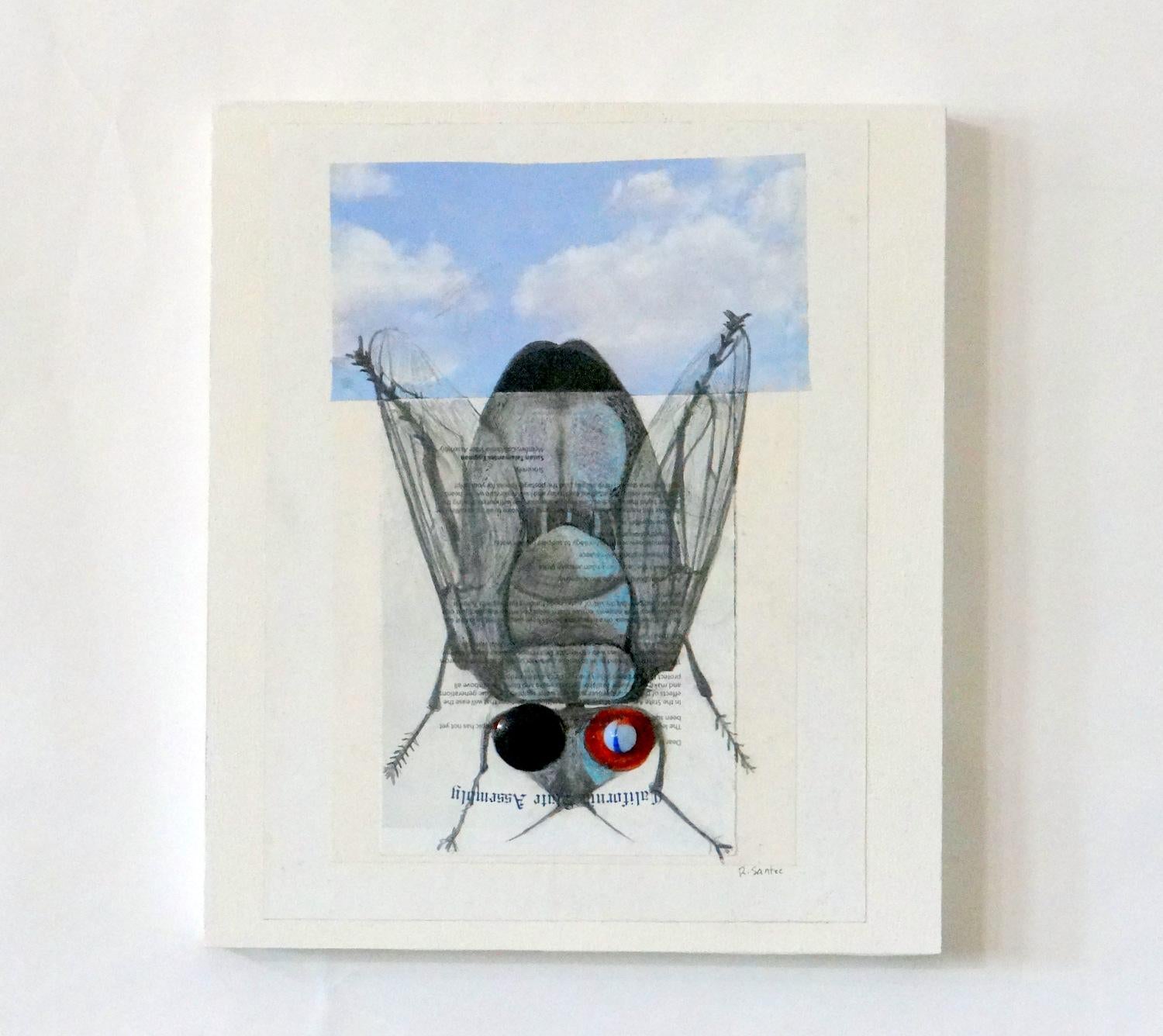 <p>Artist Comments<br />A pencil drawing of a common housefly on a junk mail letter from the California Assembly, all on a background of clouds. The fly has a glass marble eye, peering back in this surreal college. Ruth Santee describes making art