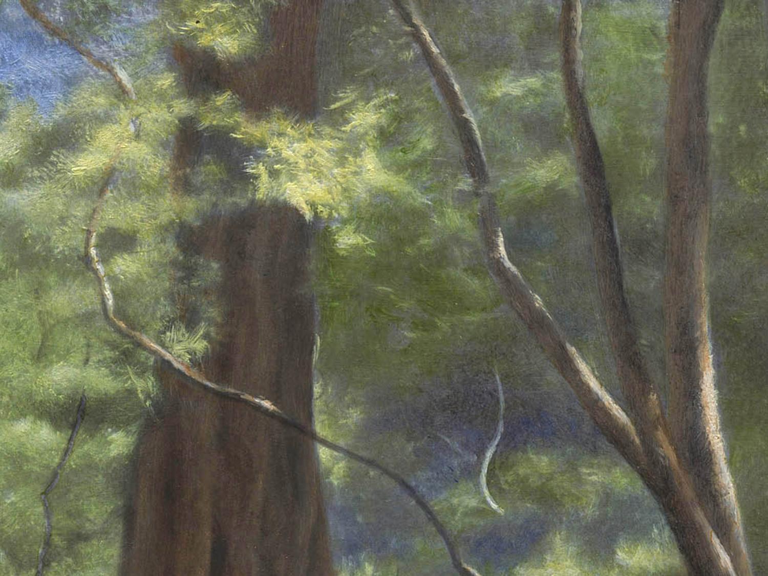 <p>Artist Comments<br />Slender, sinuous branches of a Japanese maple in the foreground with an old dogwood in the background. Delicate afternoon light. Strybing Arboretum, Golden Gate Park, San Francisco. Painted in the studio from heavily