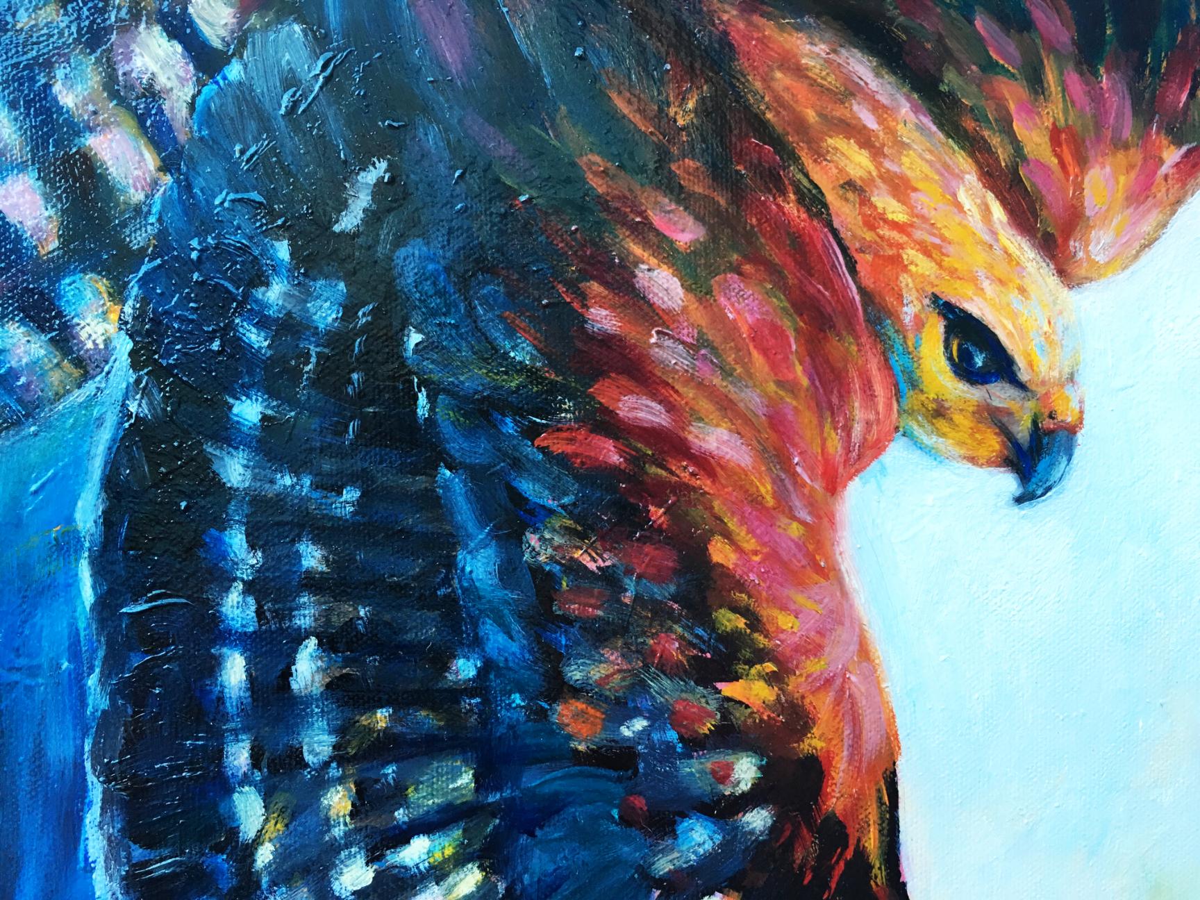 <p>Artist Comments<br />A hawk dives through the sky, the last light of the day glows on its feathers and the trees in the distance. The bird occupies the majority of the composition emphasizing its presence and power. 