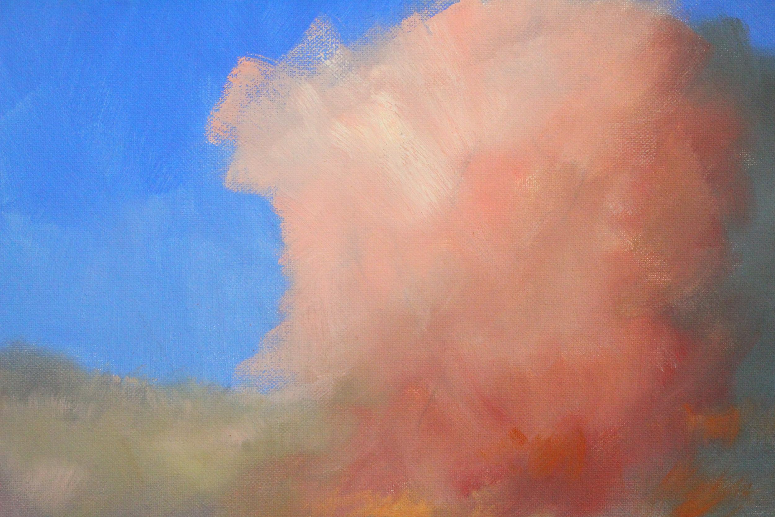 <p>Artist Comments<br />Nancy says she was inspired by a beautiful pink cloud that hovered over the Pacific Ocean one evening. She was drawn to the delicate pastel color against the deep blue water.</p><br /><p>About the Artist<br />Nancy Merkle's