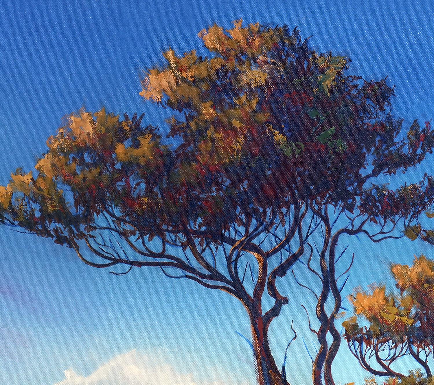 <p>Artist Comments<br /> A pair of hearty coastal pines preside over vast dunes, an afternoon storm gathers on the distant horizon. Soon, the incoming tide will once again soak the dunes and gather salty water in the sandy tributaries. Pat applied