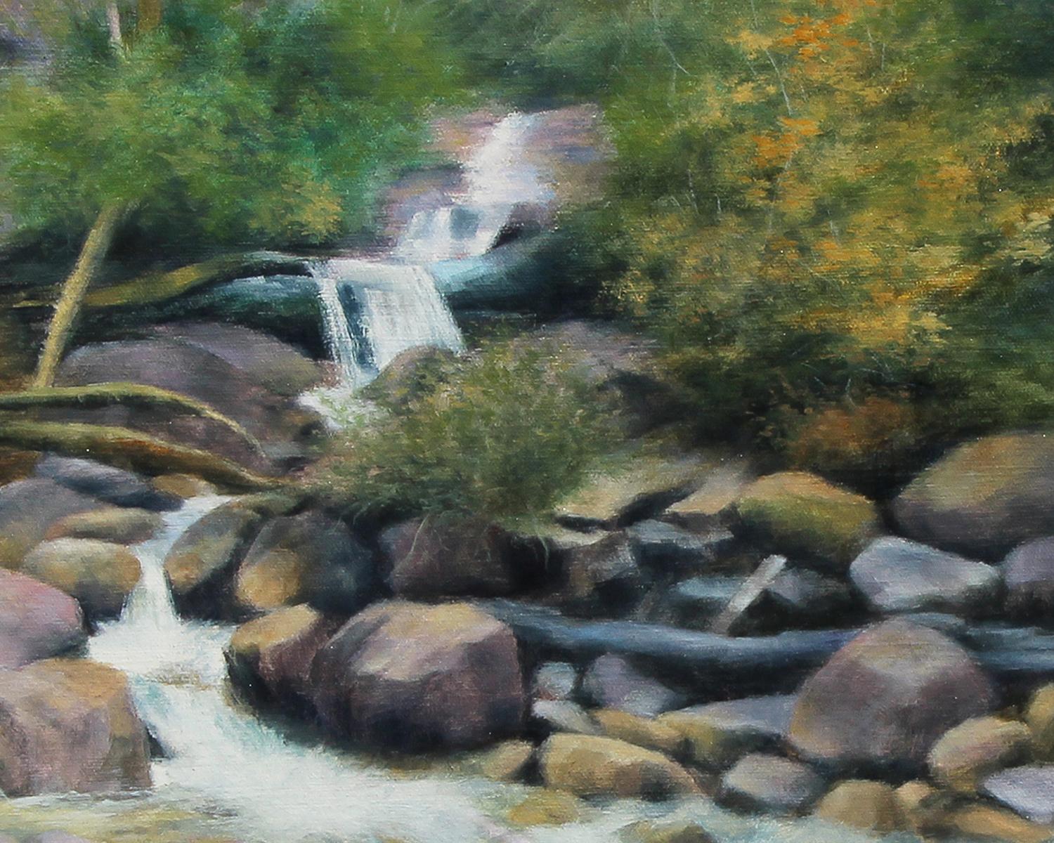 <p>Artist Comments<br />Inspired by a view from the lower part of Shannon Falls in British Columbia, Jo captured the mesmerizing power of the cool water rushing over the sunny rock bed. She paired methodical color and brushwork in the rocks with the