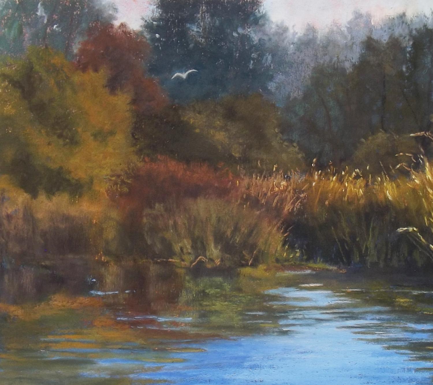 <p>Artist Comments<br />An overcast morning view of one of Patricia's favorite spots along the American River. 