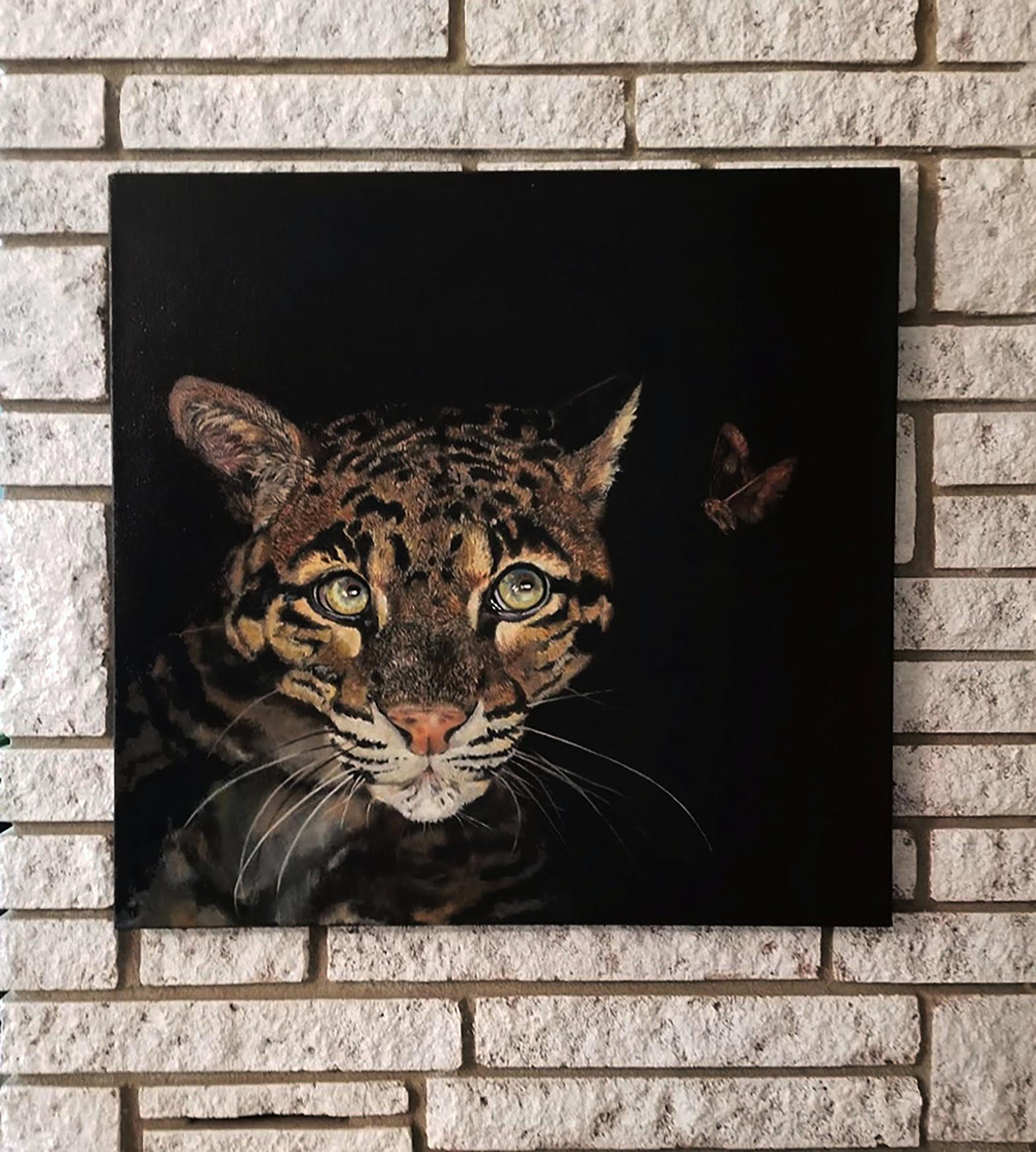 clouded leopard for sale