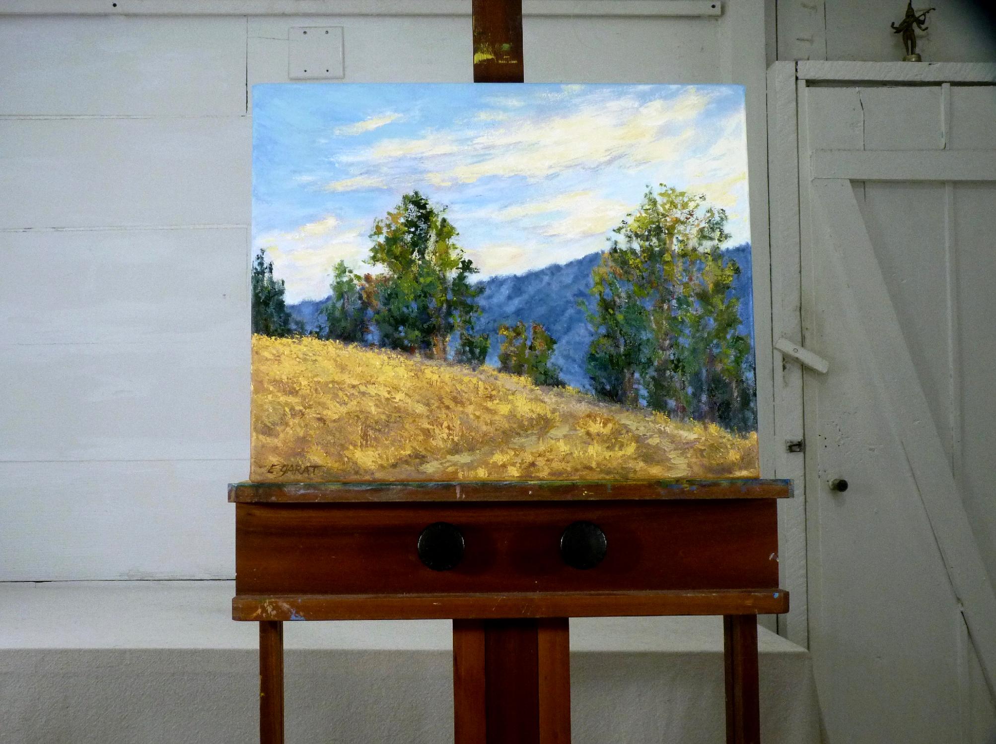 <p>Kommentare der Künstlerin<br>Die Künstlerin Elizabeth Garat entwickelte diese impressionistische Landschaft nach einer sommerlichen Wanderung durch die sanften Hügel Südkaliforniens. Sie sagt, es war ein warmer Tag unter einem dynamischen Himmel.