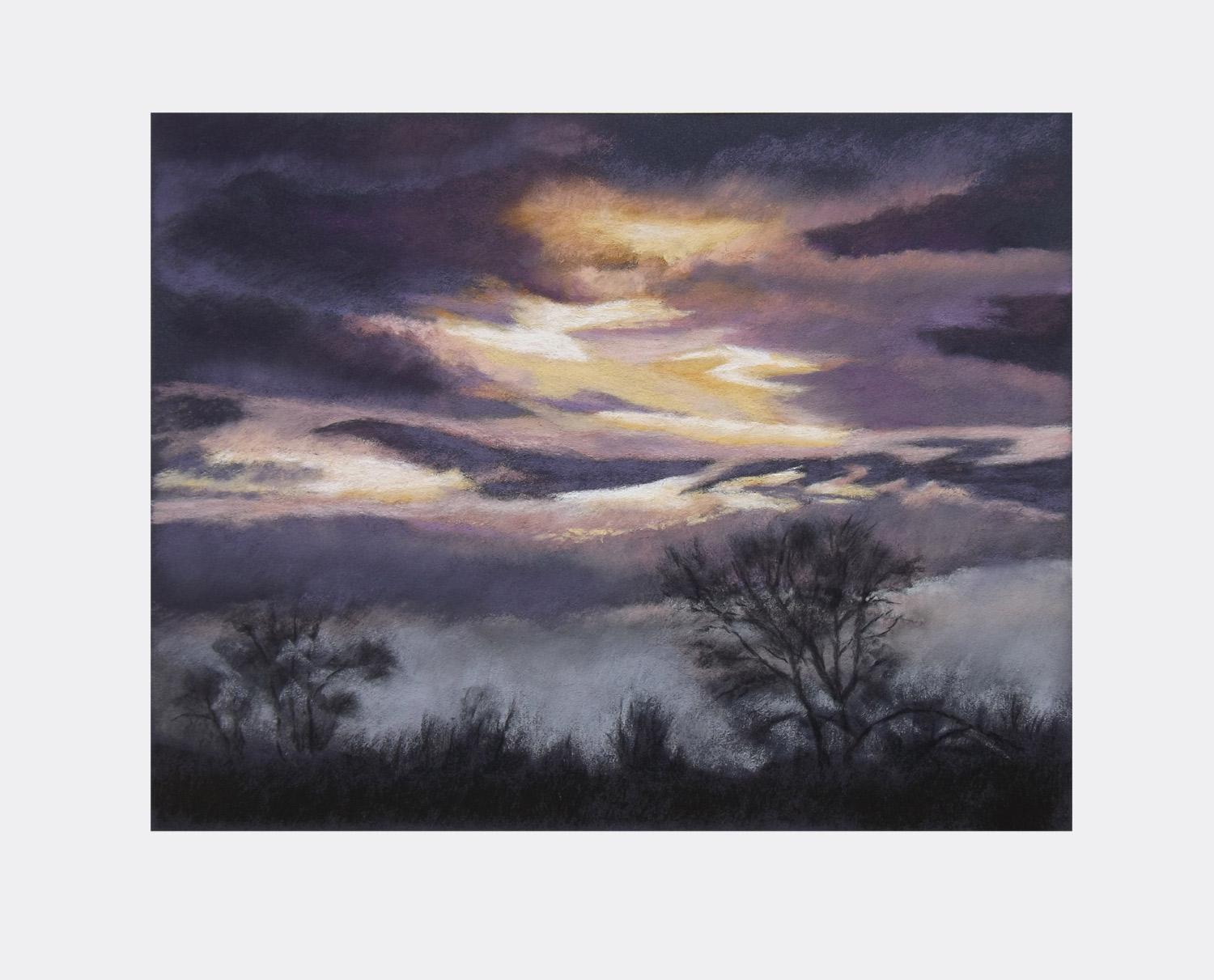 <p>Artist Comments<br>I painted this from photos that I took from a blind where we watched the Sandhill Cranes fly in to spend the night in the ecological preserve outside of Lodi, California. I painted it on a piece of black, sanded pastel paper