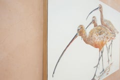 Three Long-Billed Curlews, Original Painting