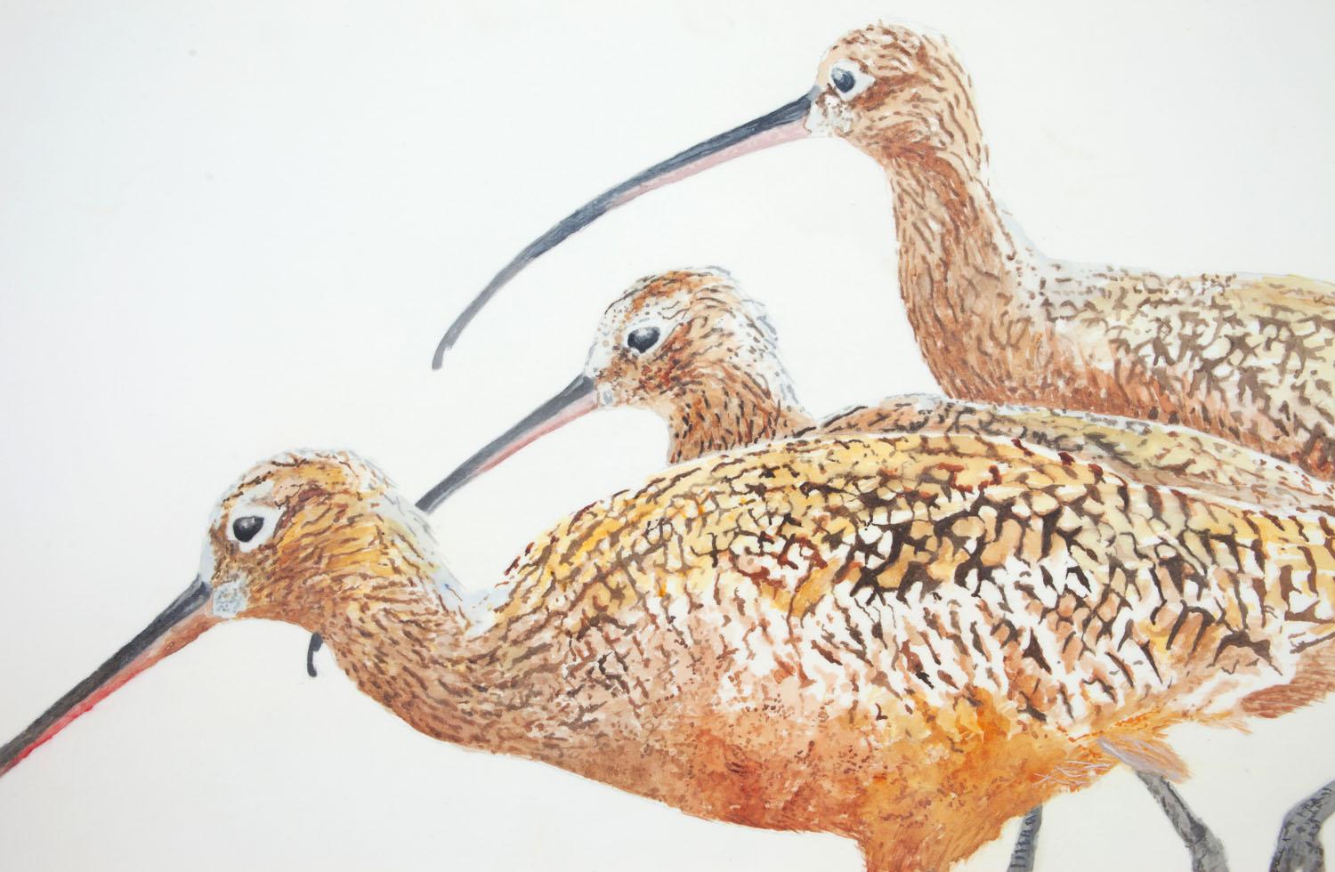 Three Long-Billed Curlews, Original Painting - White Animal Painting by Emil Morhardt