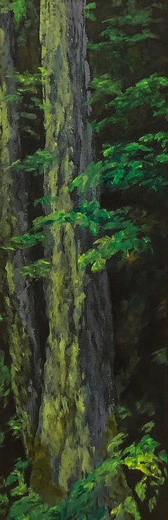 Peinture à l'huile, séquoia