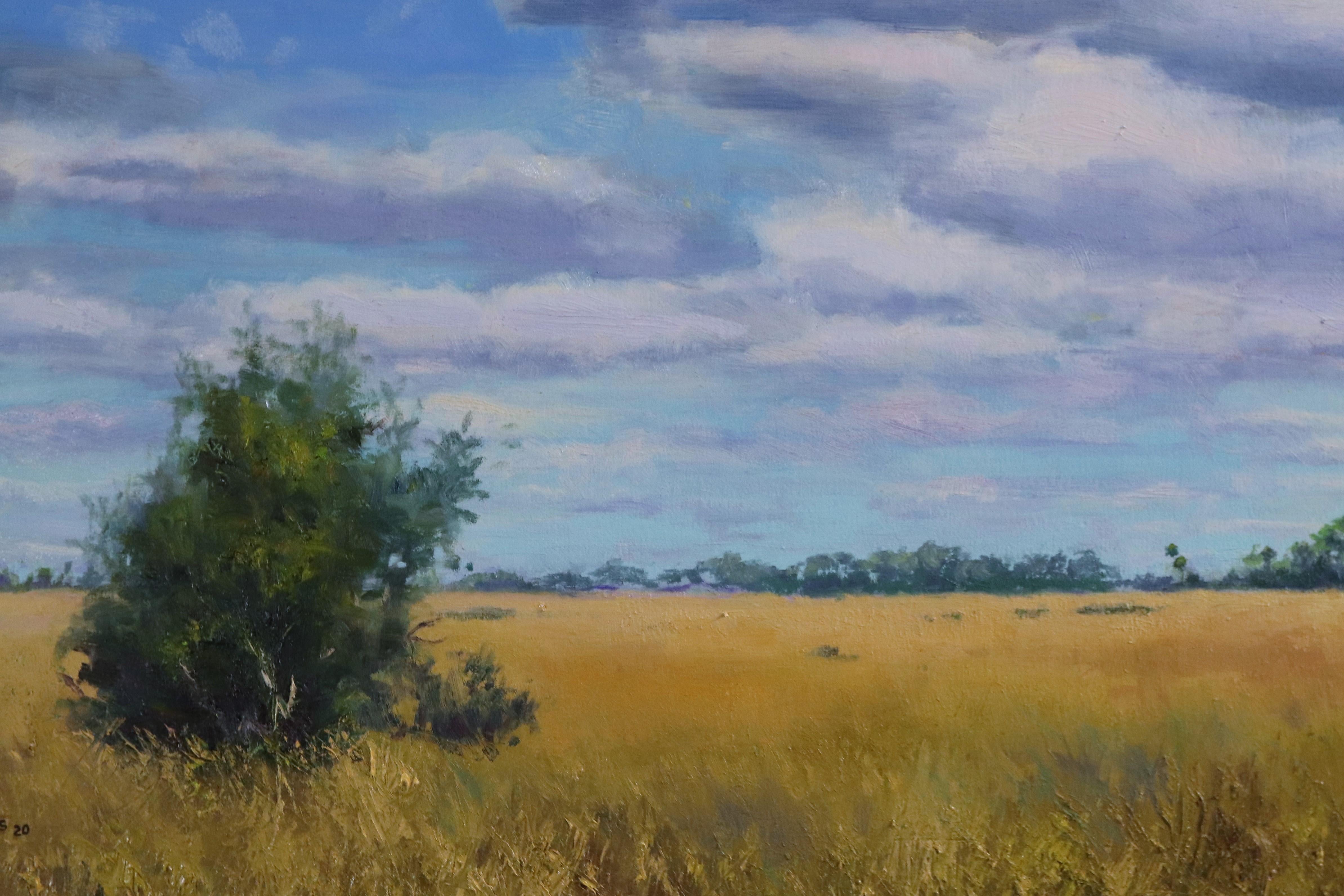 Il silenzio della prateria, Pittura a olio - Landscape Painting Viola di Andres Lopez