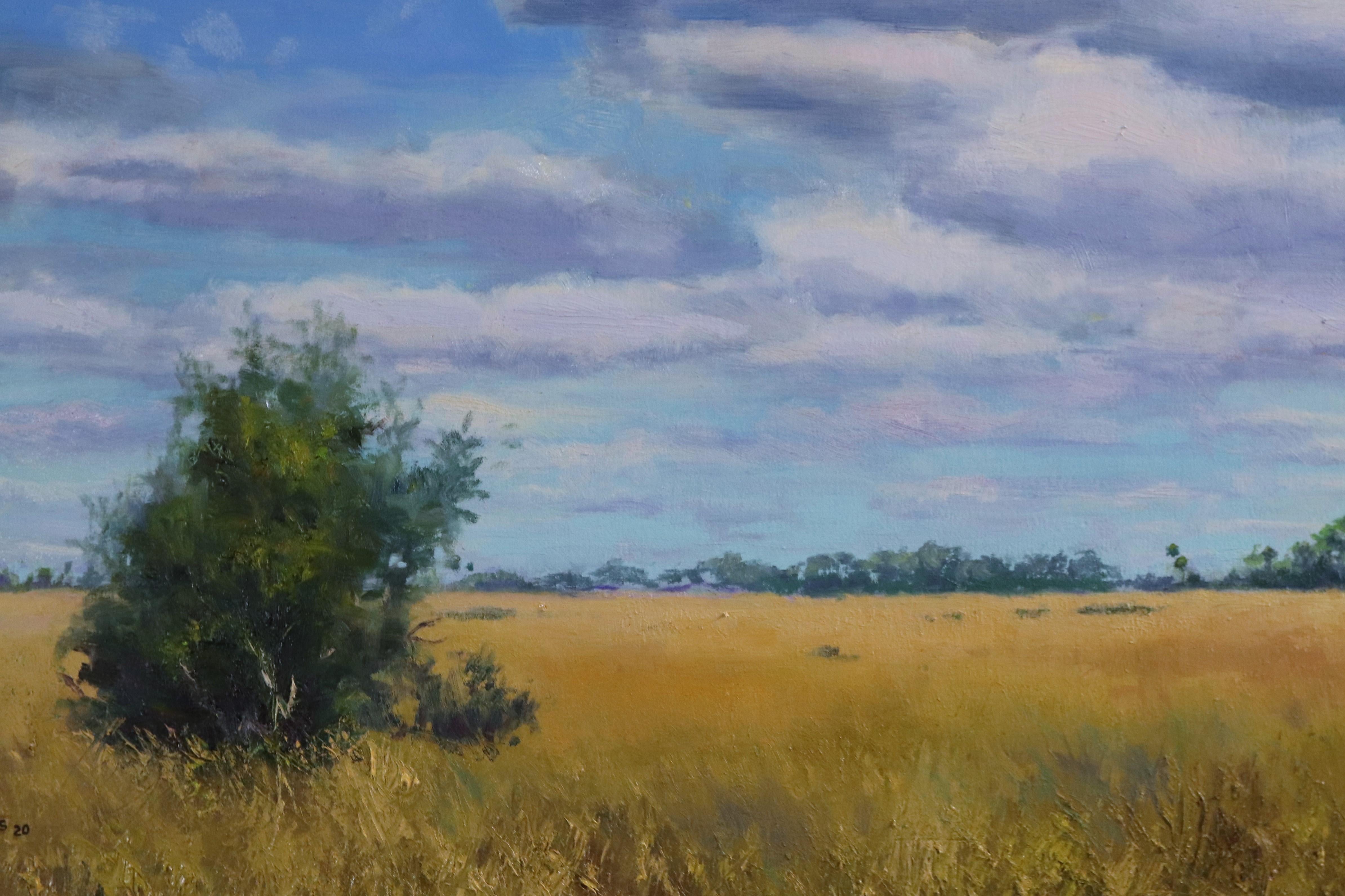 prarie painting