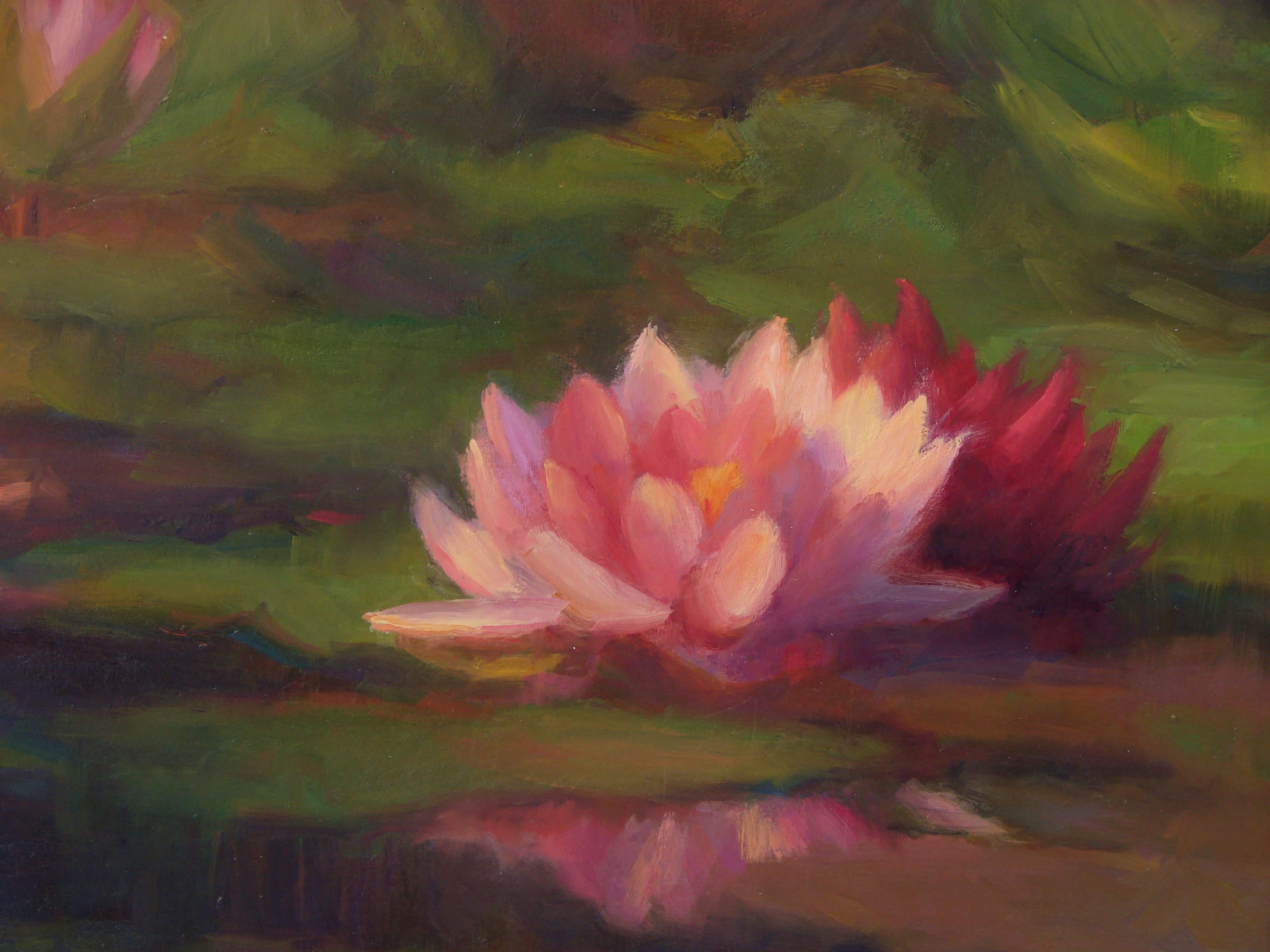 <p>Artist Comments<br />Artist Sherri Aldawood encountered these glowing waterlilies in a fountain at Mission San Juan Capistrano in California. Soft morning light warms the pink flowers and lilypads while gentle reflections echo across the water.