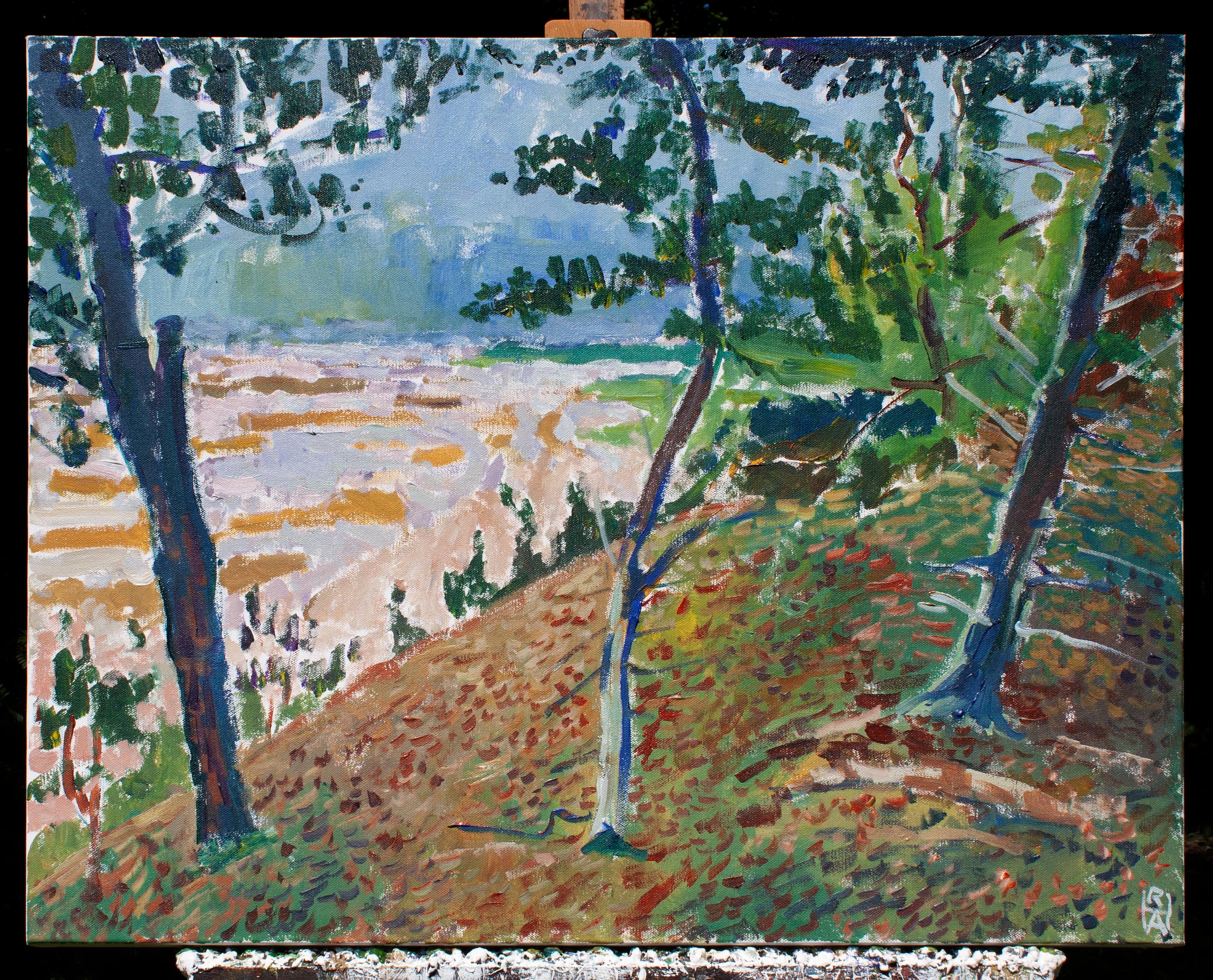 <p>Artist Comments<br>Artist Robert Hofherr takes inspiration from some of the landscapes of Matisse and Hitchens. 