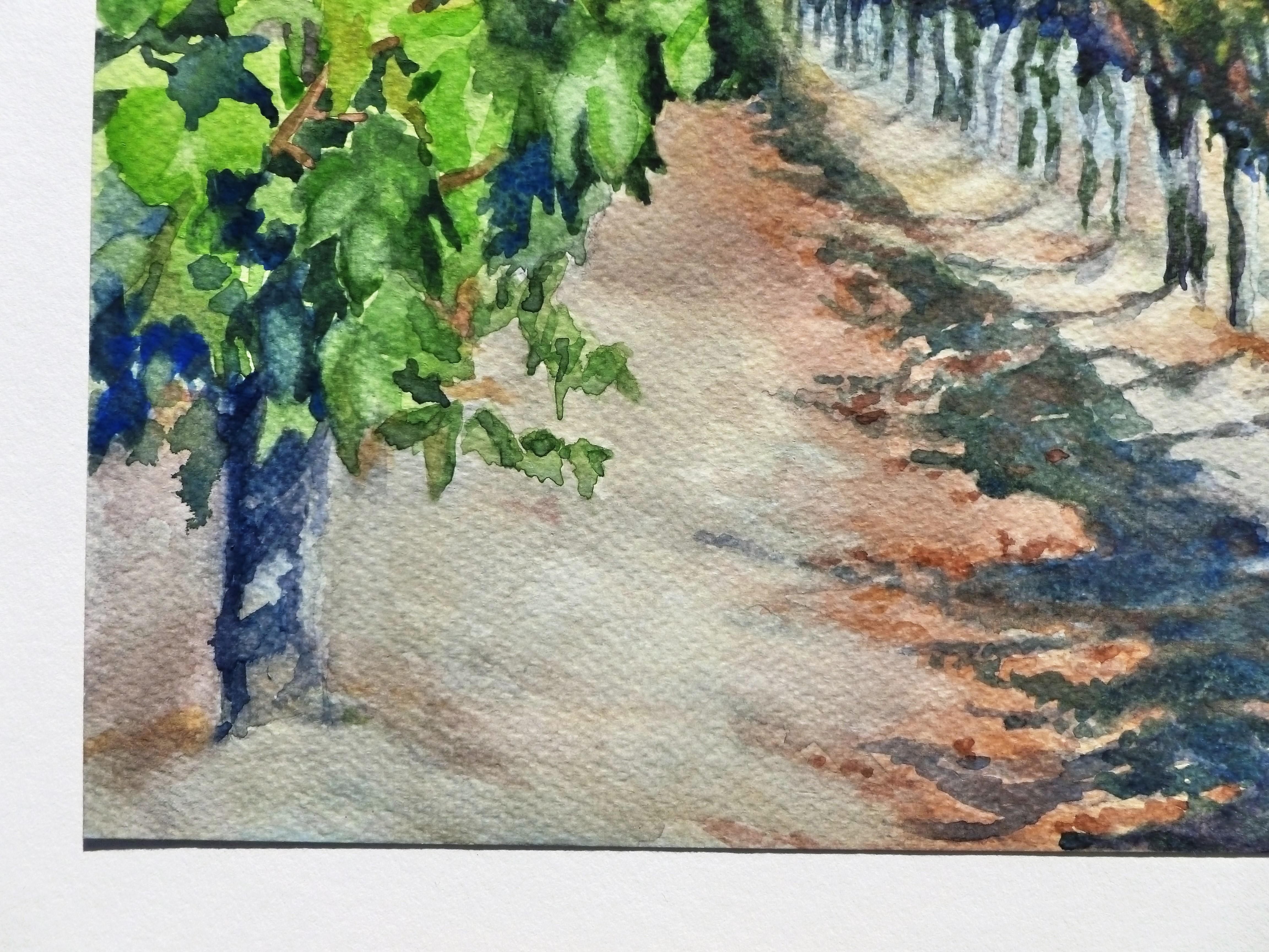 watercolor vineyard