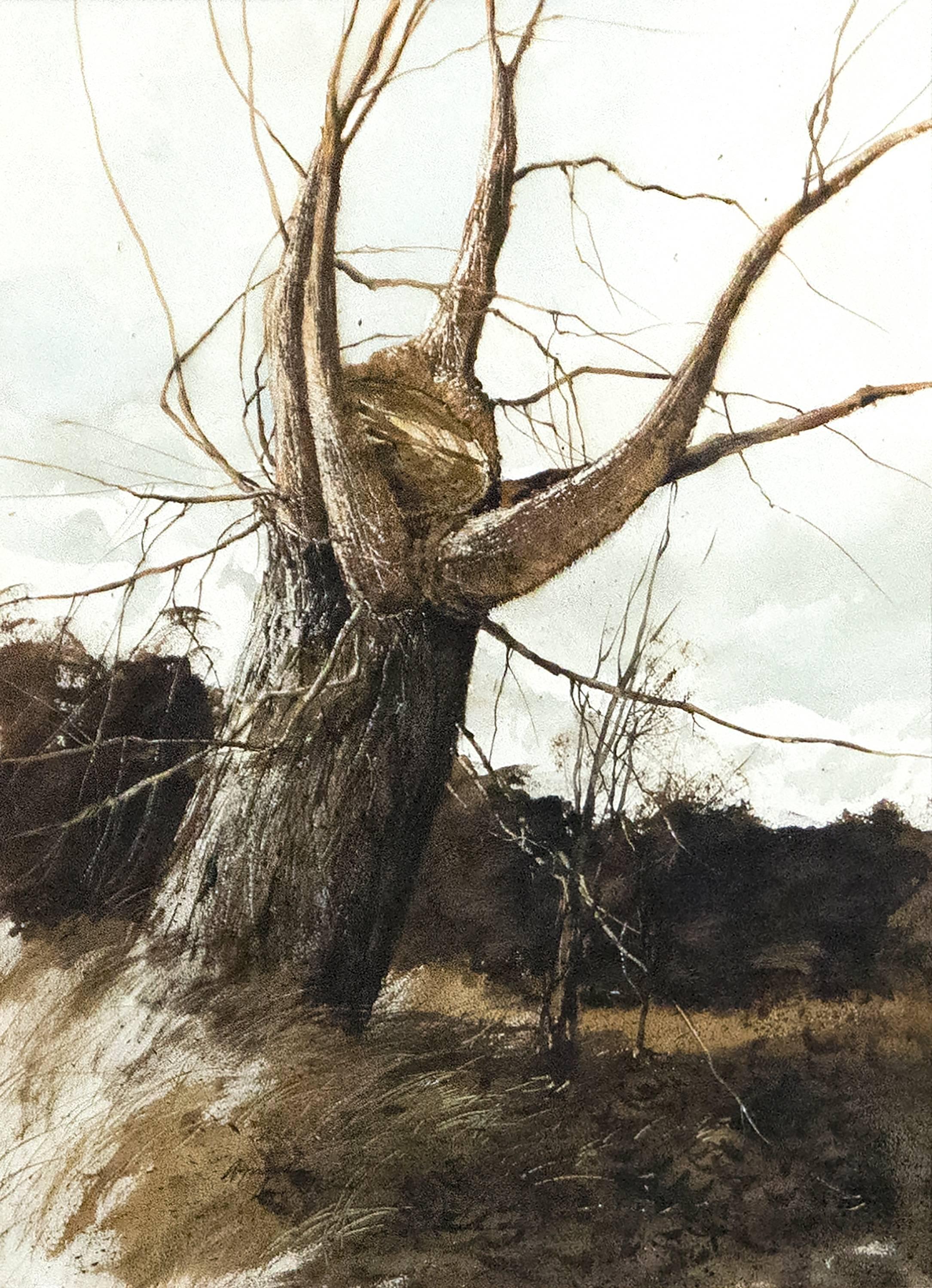 Gregory Sumida Landscape Art - Approaching Storm, New Branches