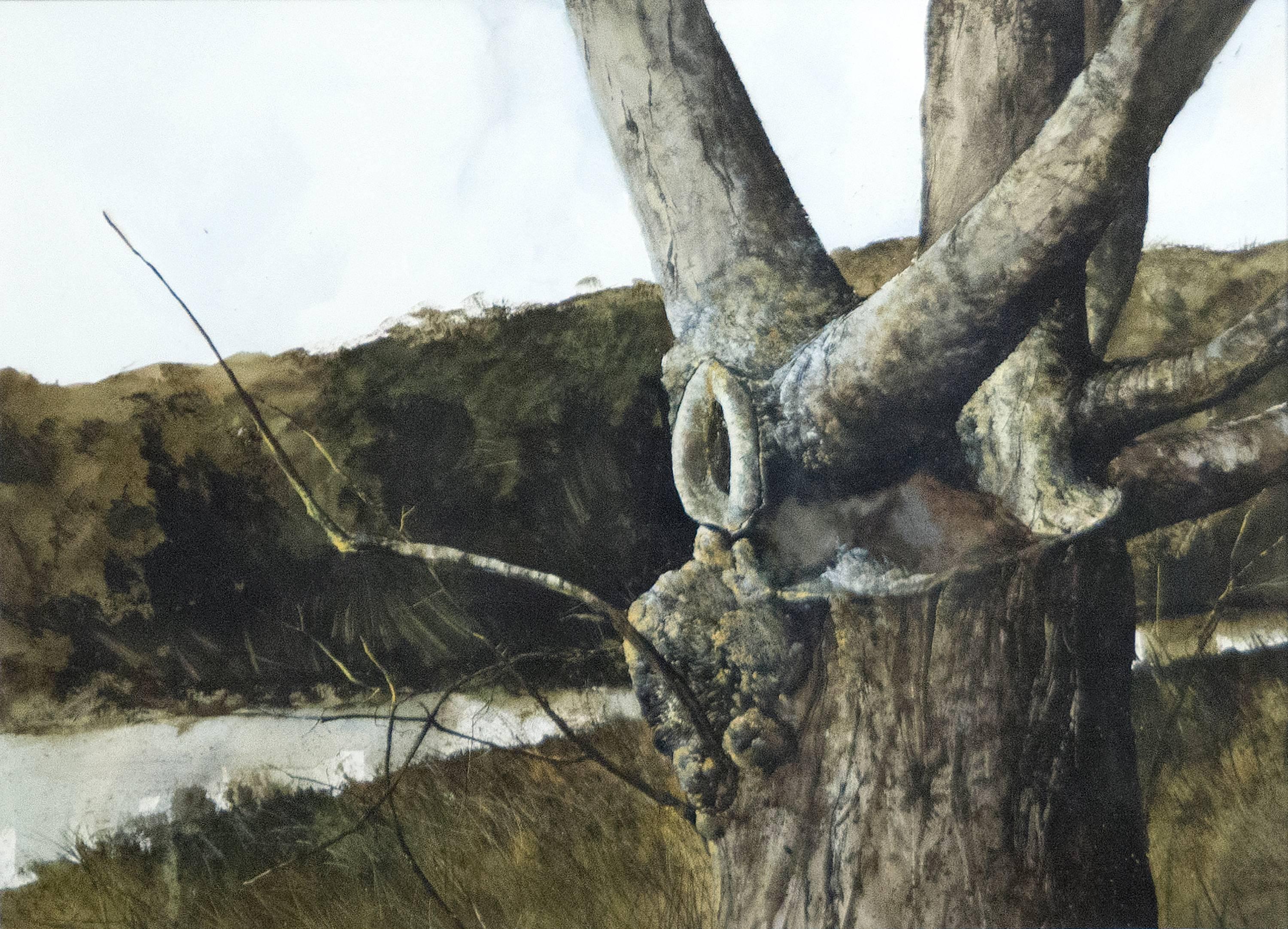 Gregory Sumida Landscape Art - Tree Trunks