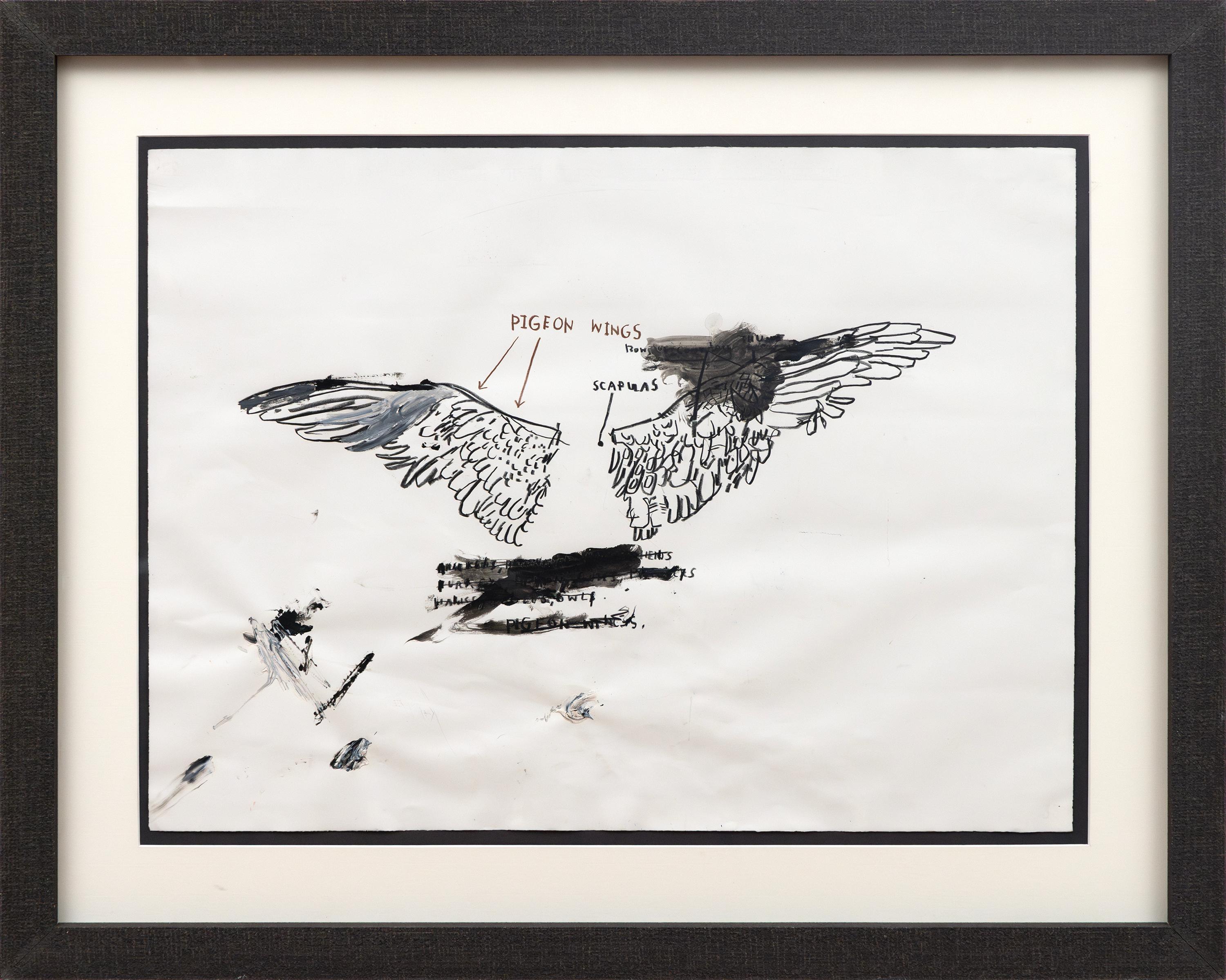 Untitled (Pigeon Anatomy) - Art by Jean-Michel Basquiat
