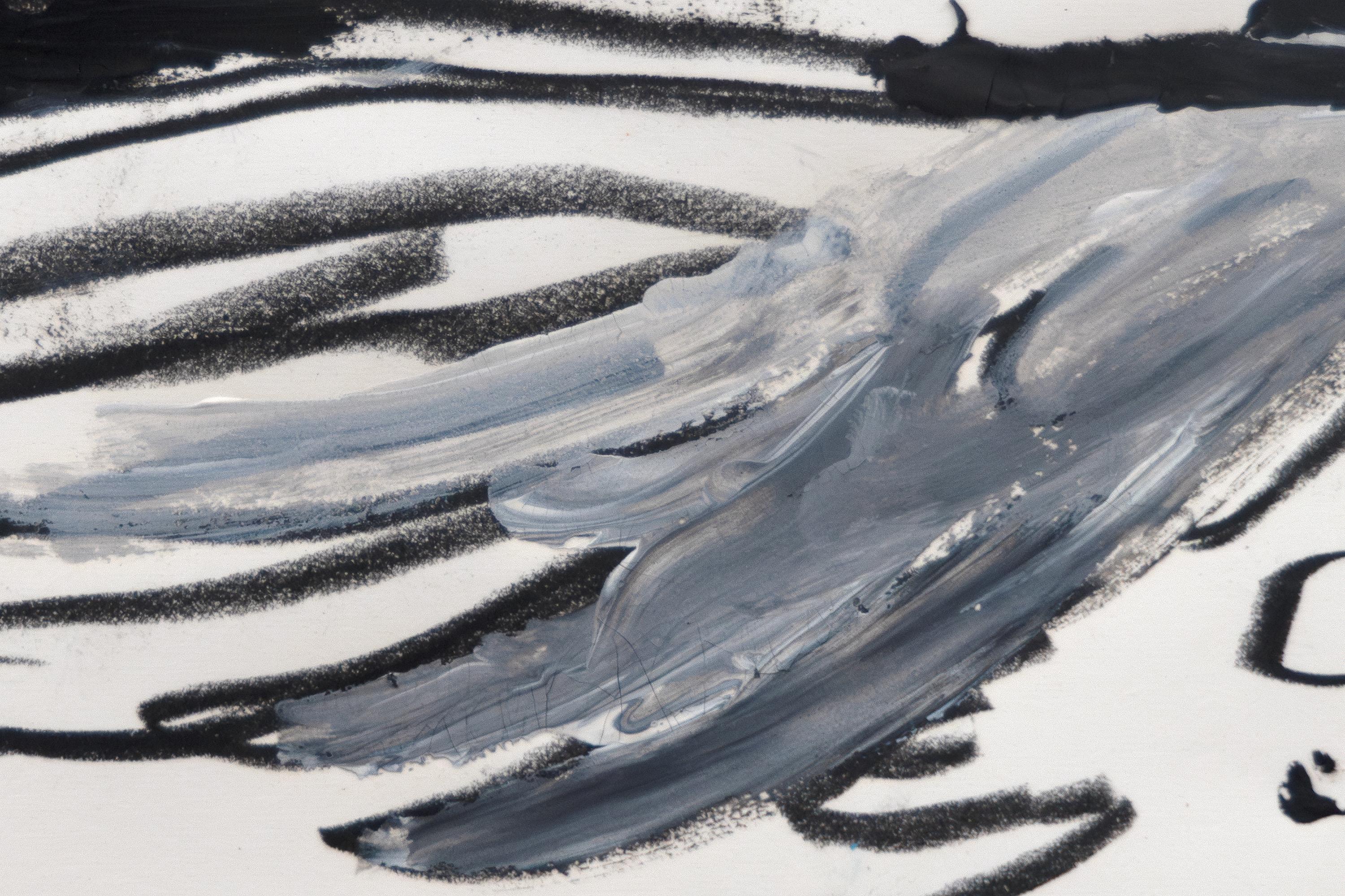 Untitled (Pigeon Anatomy) 1