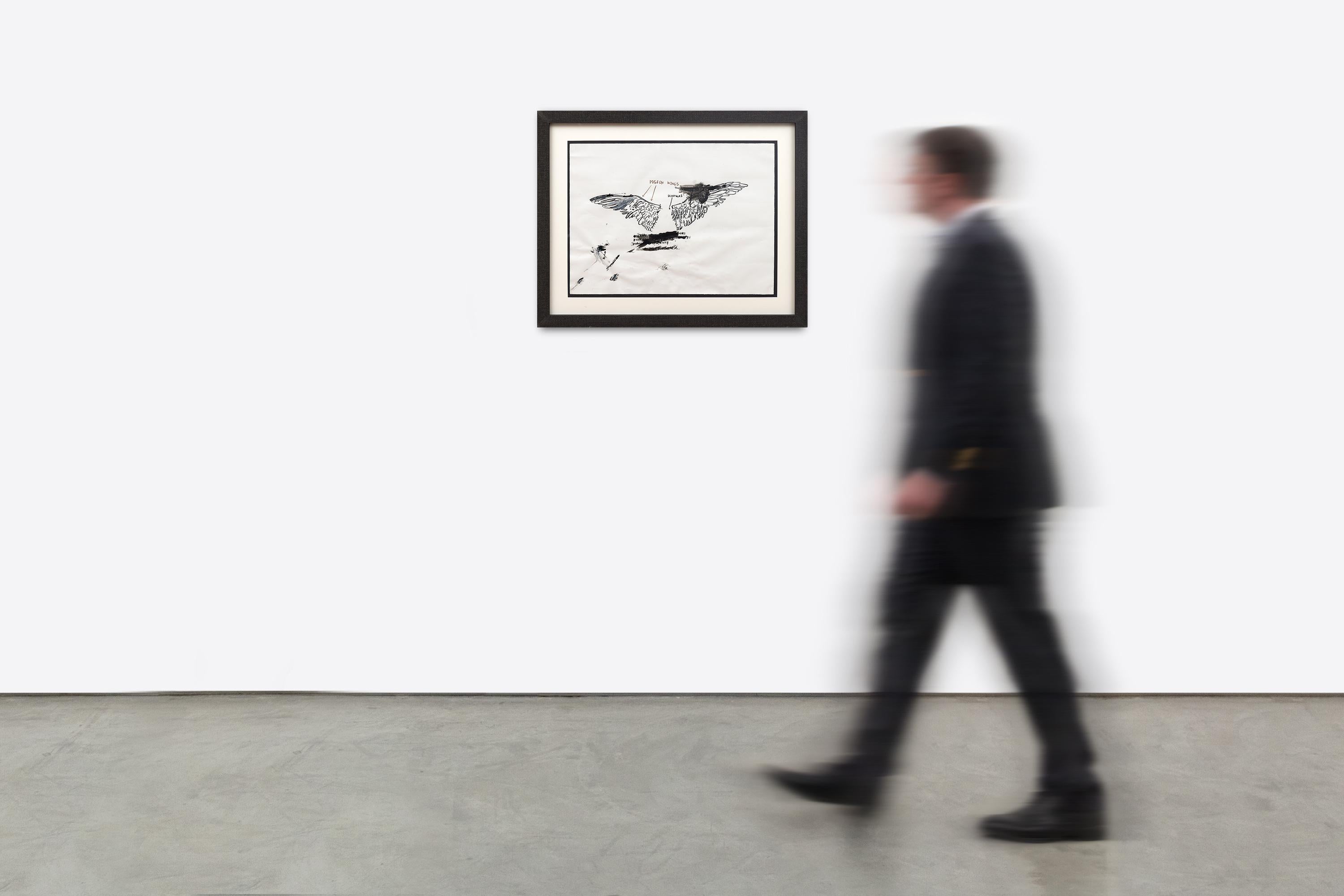 Untitled (Pigeon Anatomy) 4