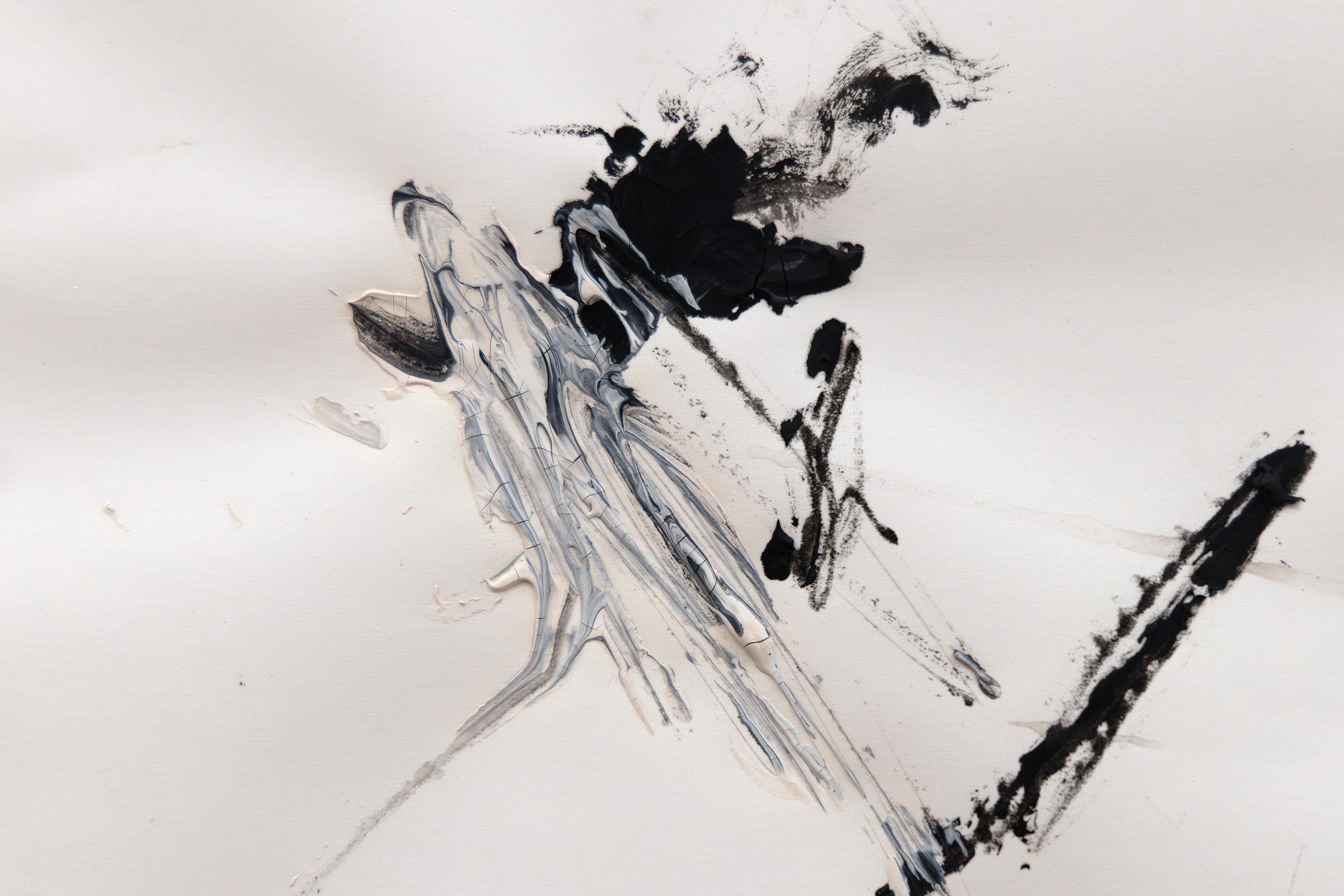 Untitled (Pigeon Anatomy) 3