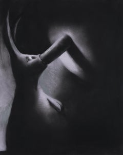 The Black Bunny Series: Tit Love, Ass Love, Fellatial Love - 3 part drawing 1995