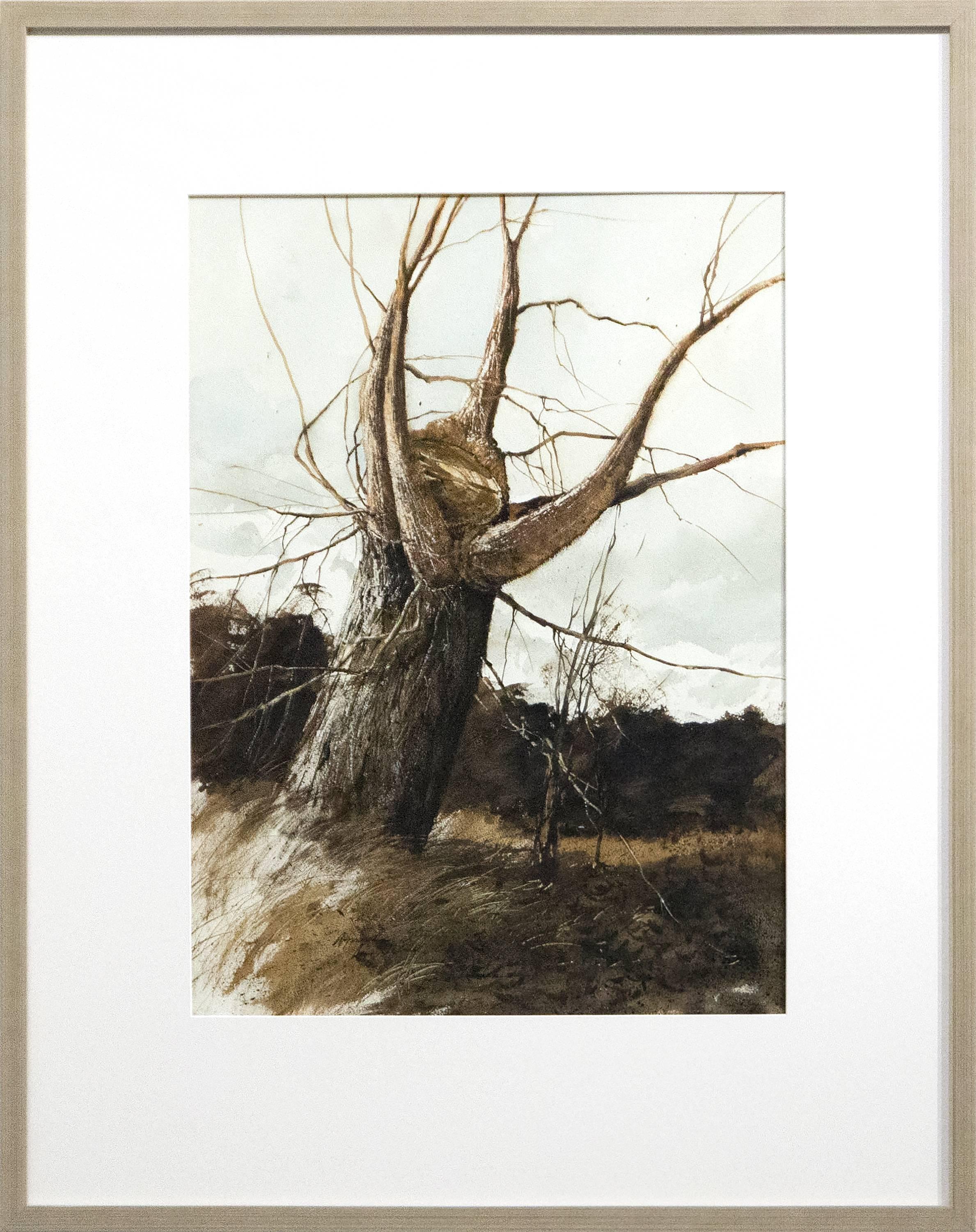 Nouvelles branches en forme de tempête surplombant - Art de Gregory Sumida