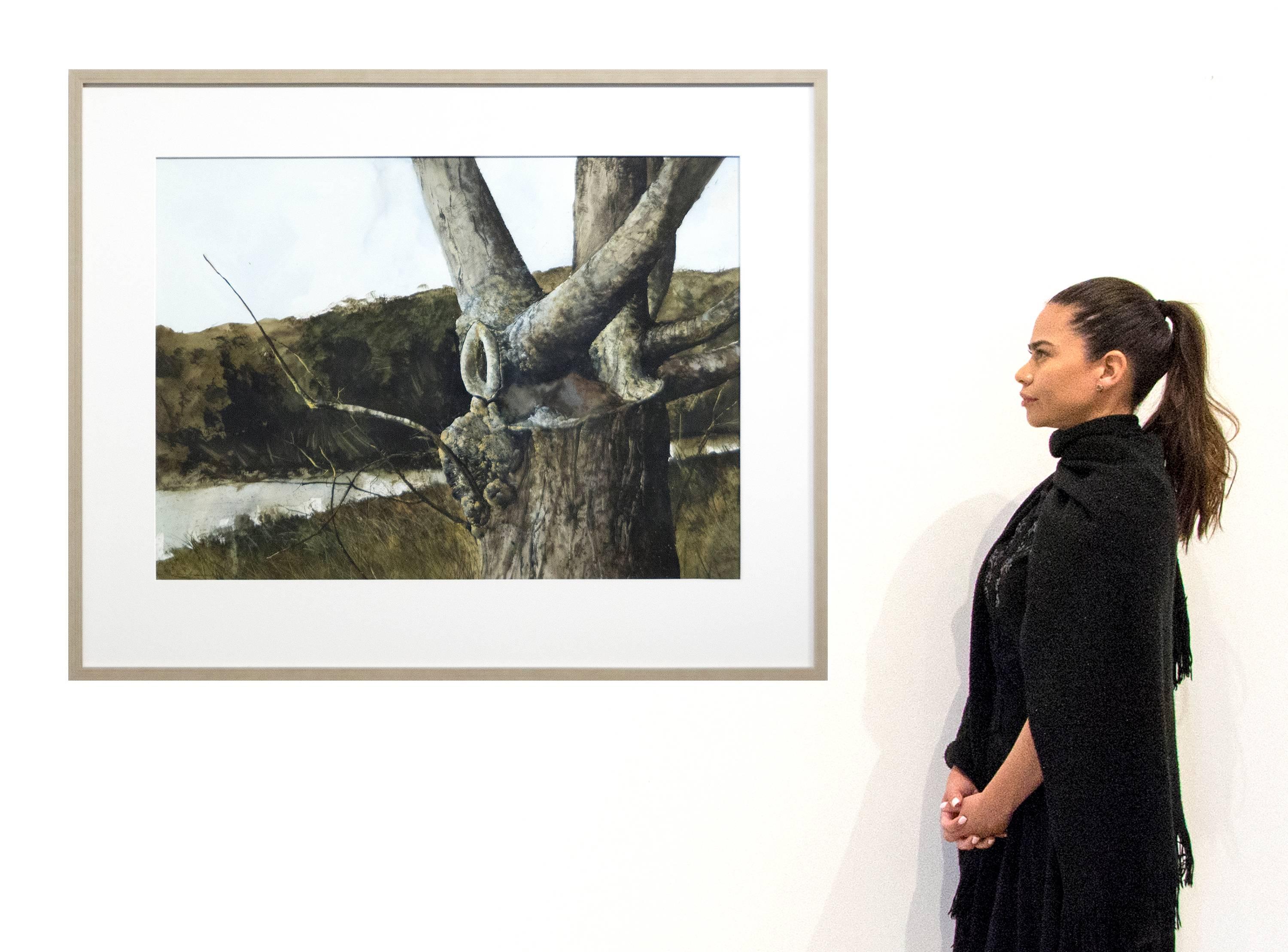 Tree Trunks - Black Landscape Art by Gregory Sumida