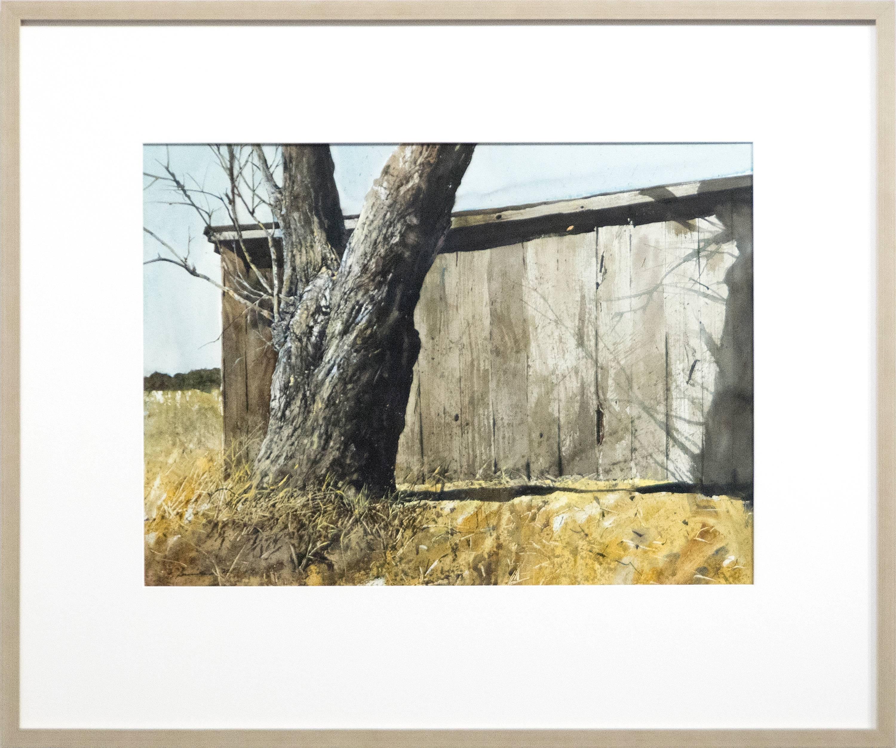 Tree Trunk and Barn - Art by Gregory Sumida