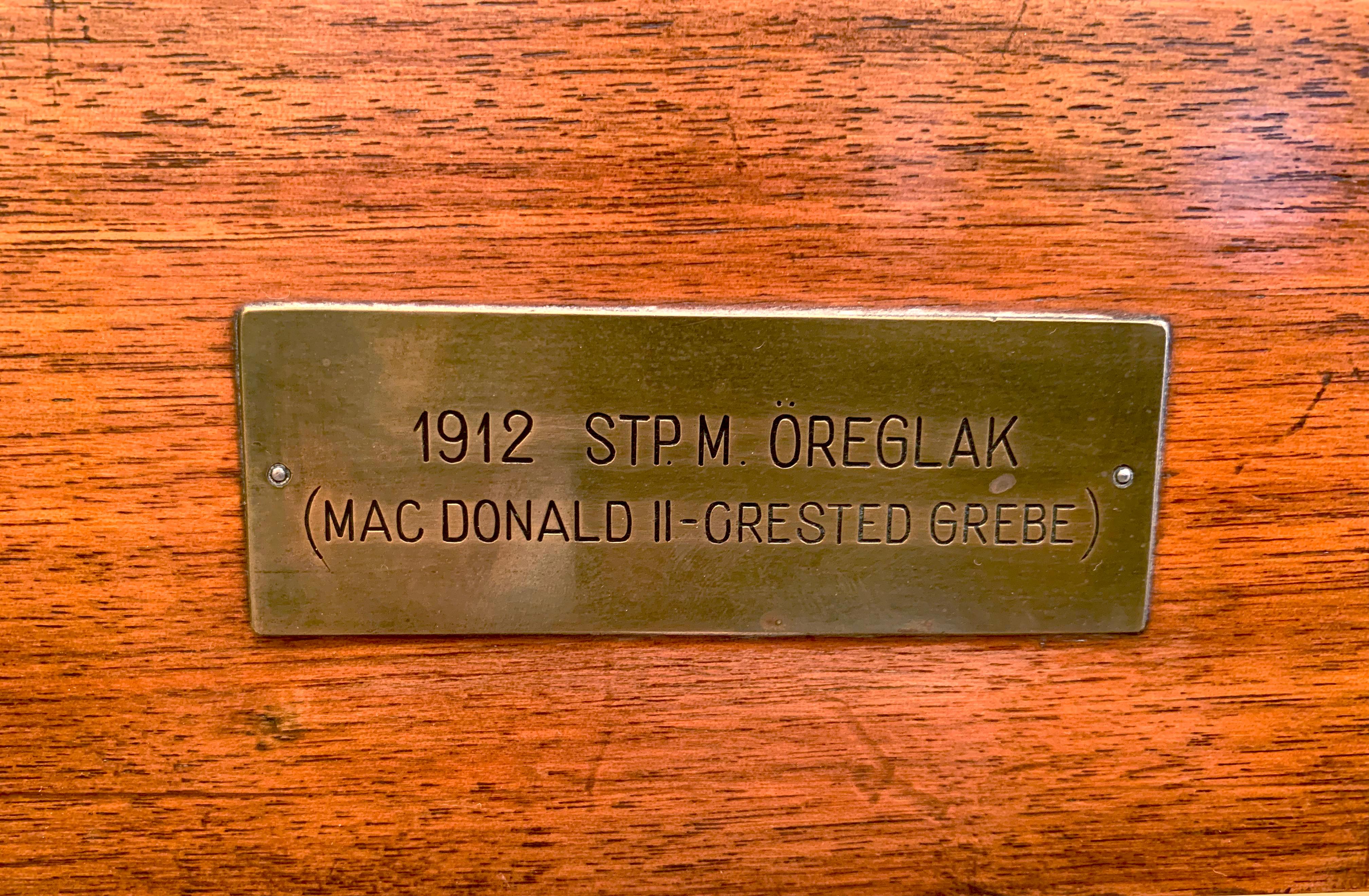 Der Hengst von Emil Adam 1916 - Reiter Ölgemälde gerahmt 5