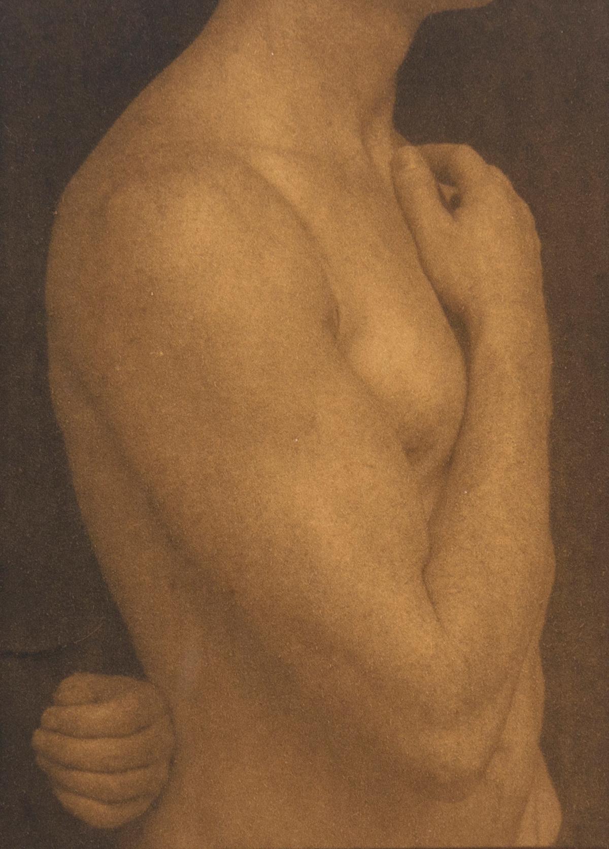 Torso 1 - Photograph by Curtice Taylor