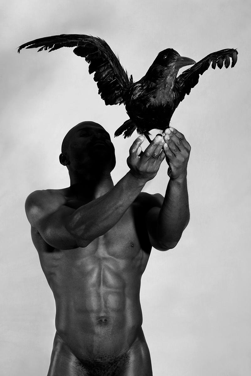 Envol - Photograph by Robert Laliberté