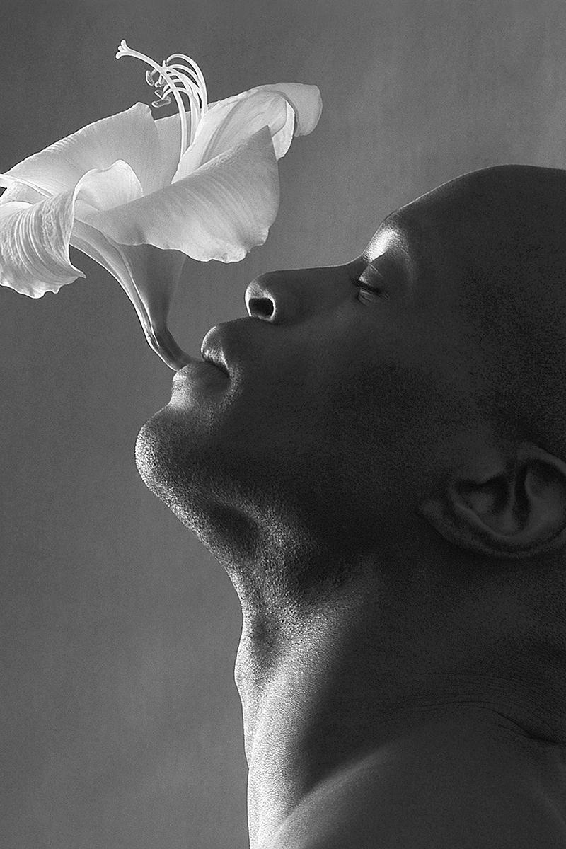 Robert Laliberté Black and White Photograph - Amarillys