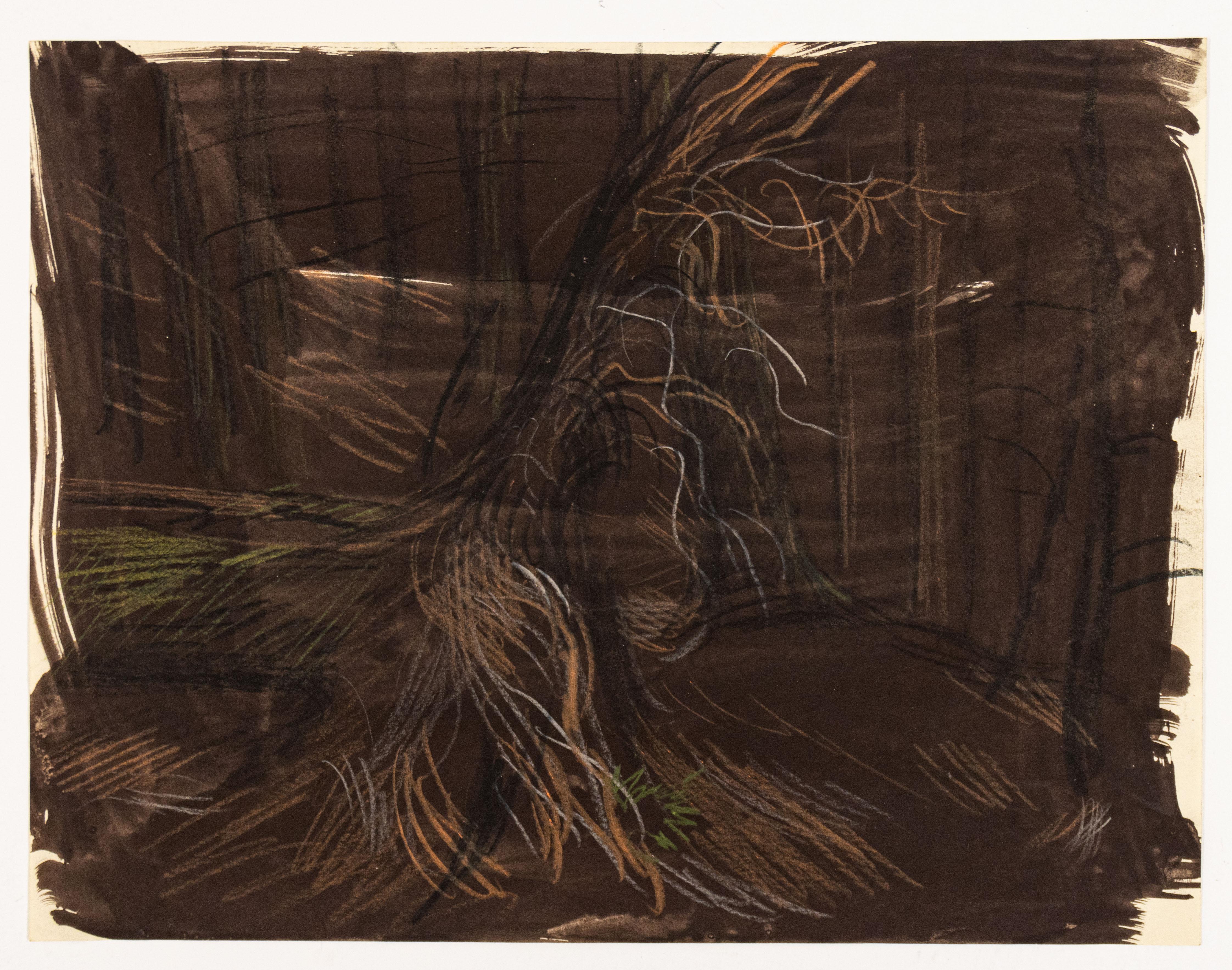 Paul Cadmus Landscape Art - Study of Trees in Forest II