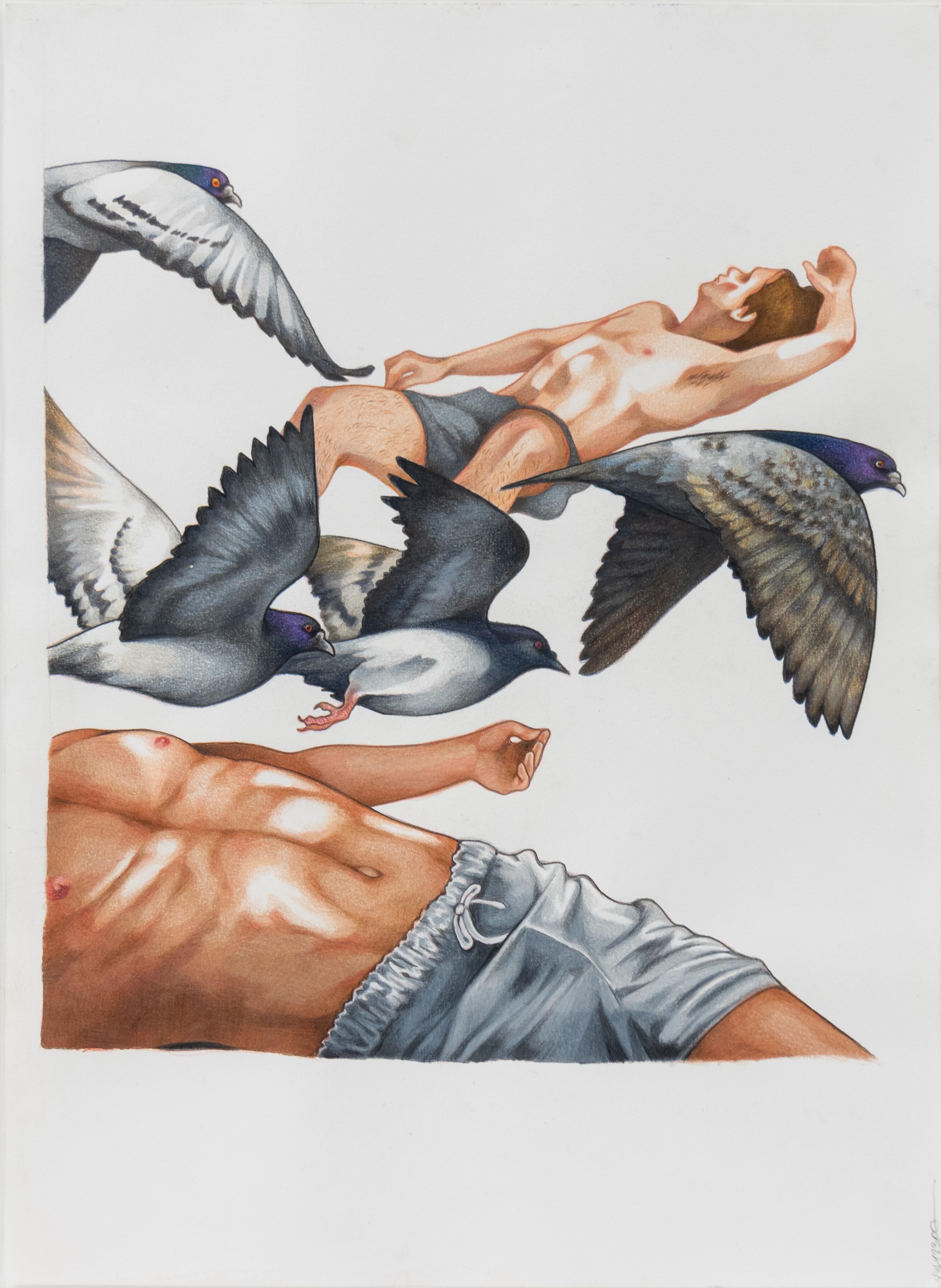 Pol Anglada Figurative Art – Tauben