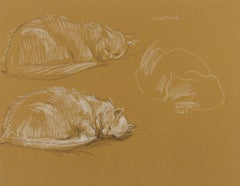 Trois études d'un chat endormi, dessin au crayon de couleur sur papier brun par Paul Cadmus