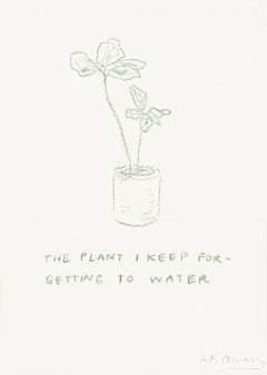 La plante que j'oublie toujours d'arroser