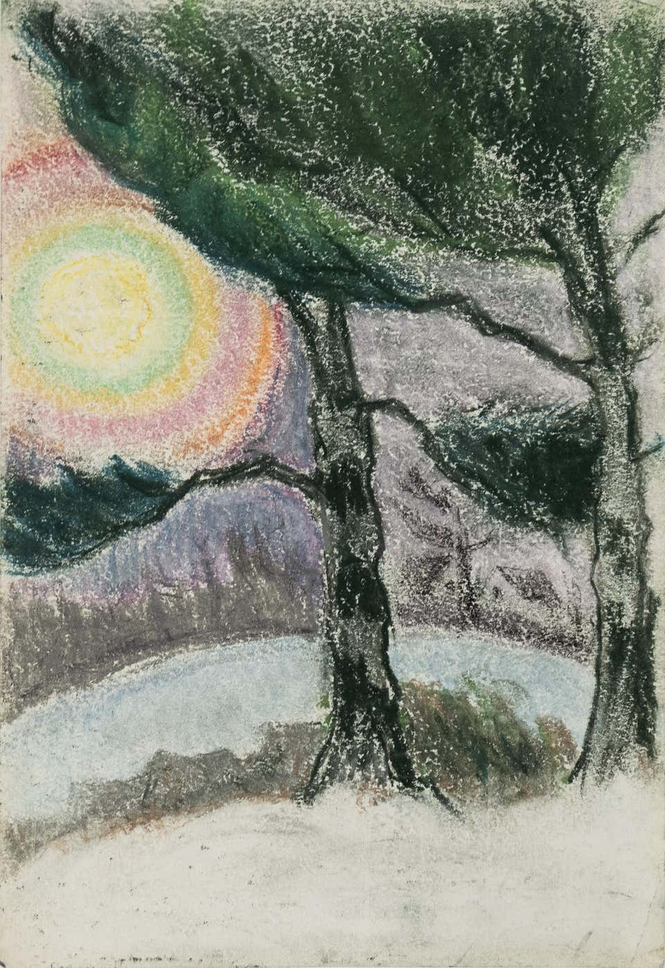 Trees and Sun