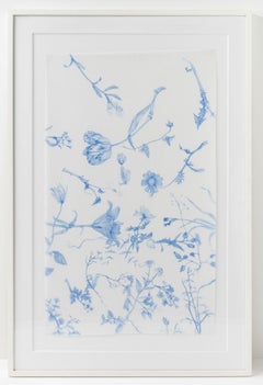 Ossa, steli, petali, arti