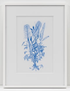 Bouquet (Aviaria), da Enigmi