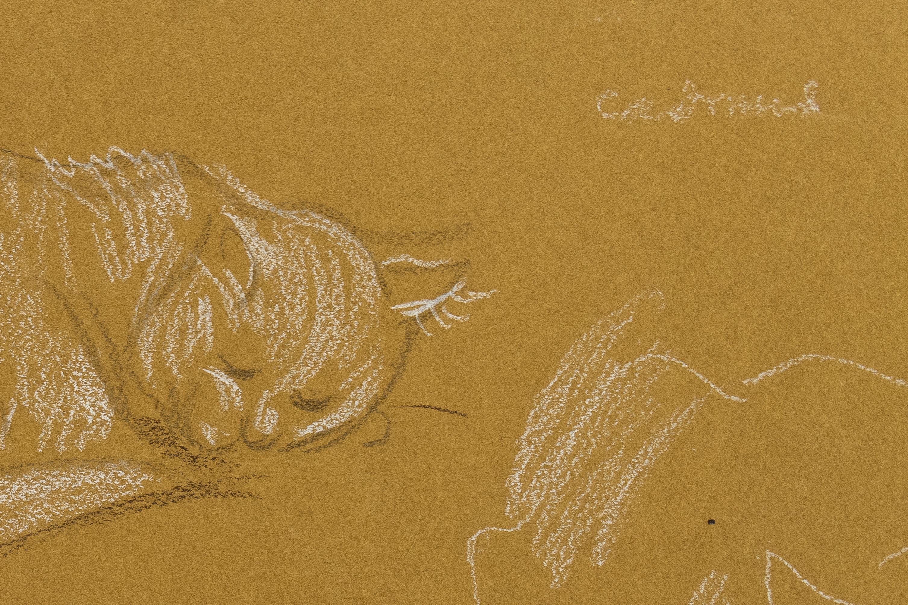 Three Studies of a Sleeping Cat, drawing in crayon on brown paper by Paul Cadmus For Sale 3