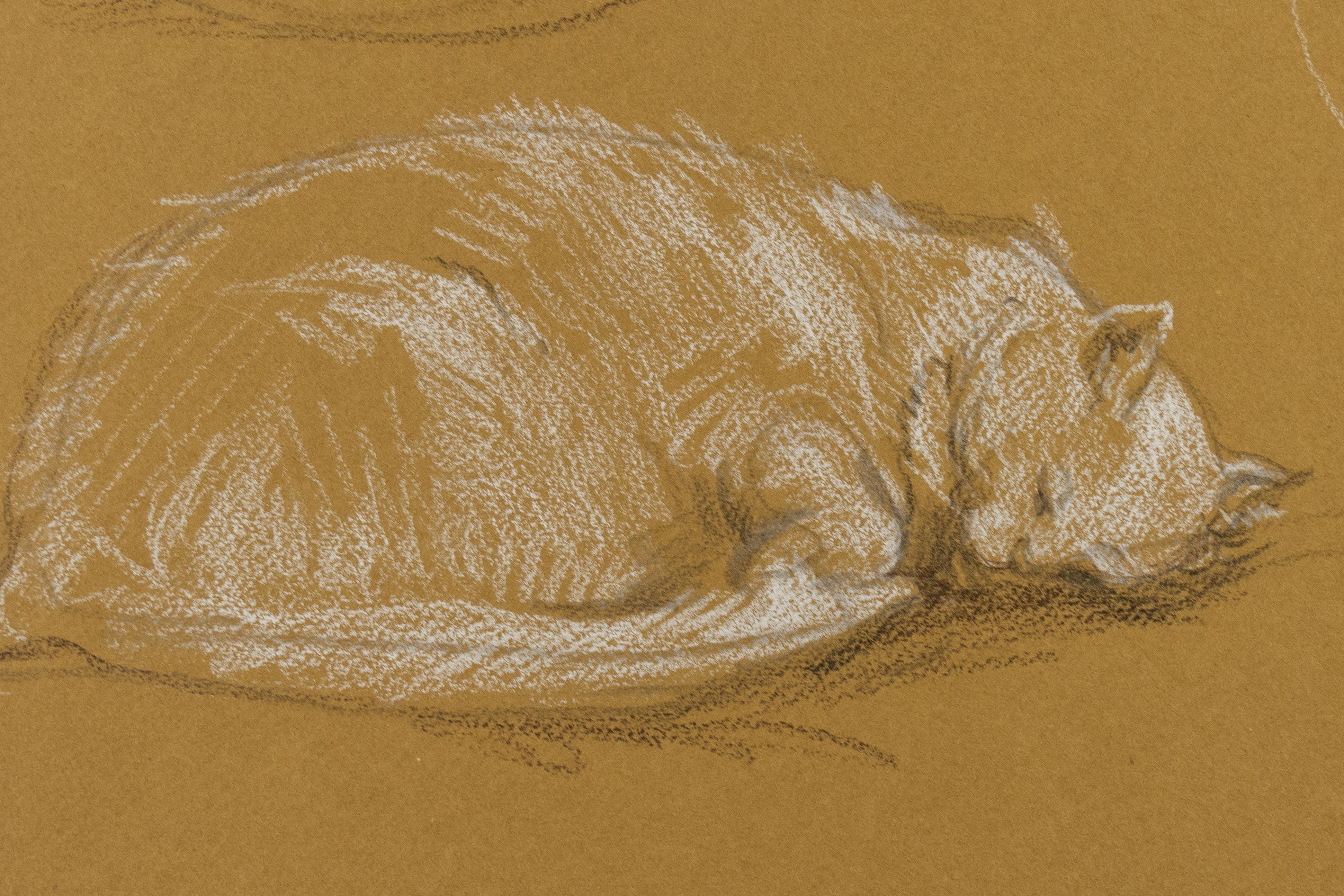 Three Studies of a Sleeping Cat, drawing in crayon on brown paper by Paul Cadmus For Sale 2
