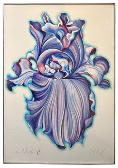 Iris singolo (lavanda/blu)