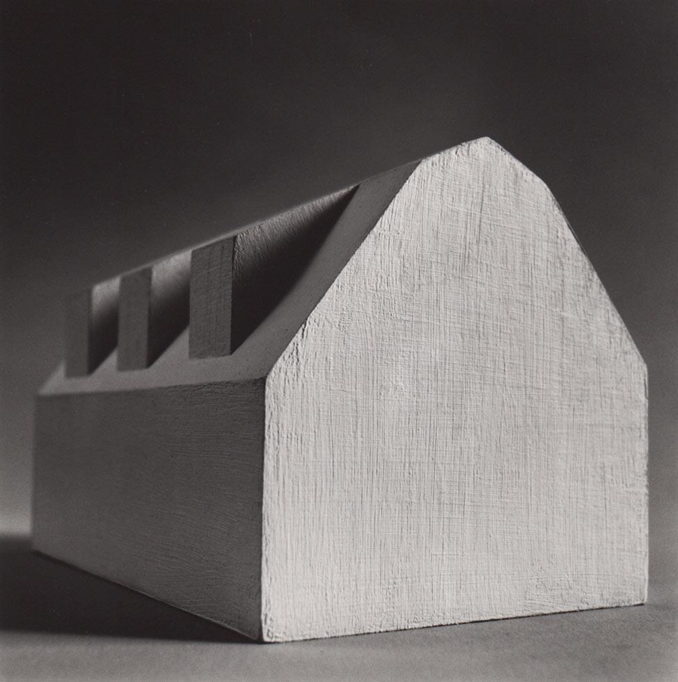 Ion Zupcu Black and White Photograph – Bauernhofhaus