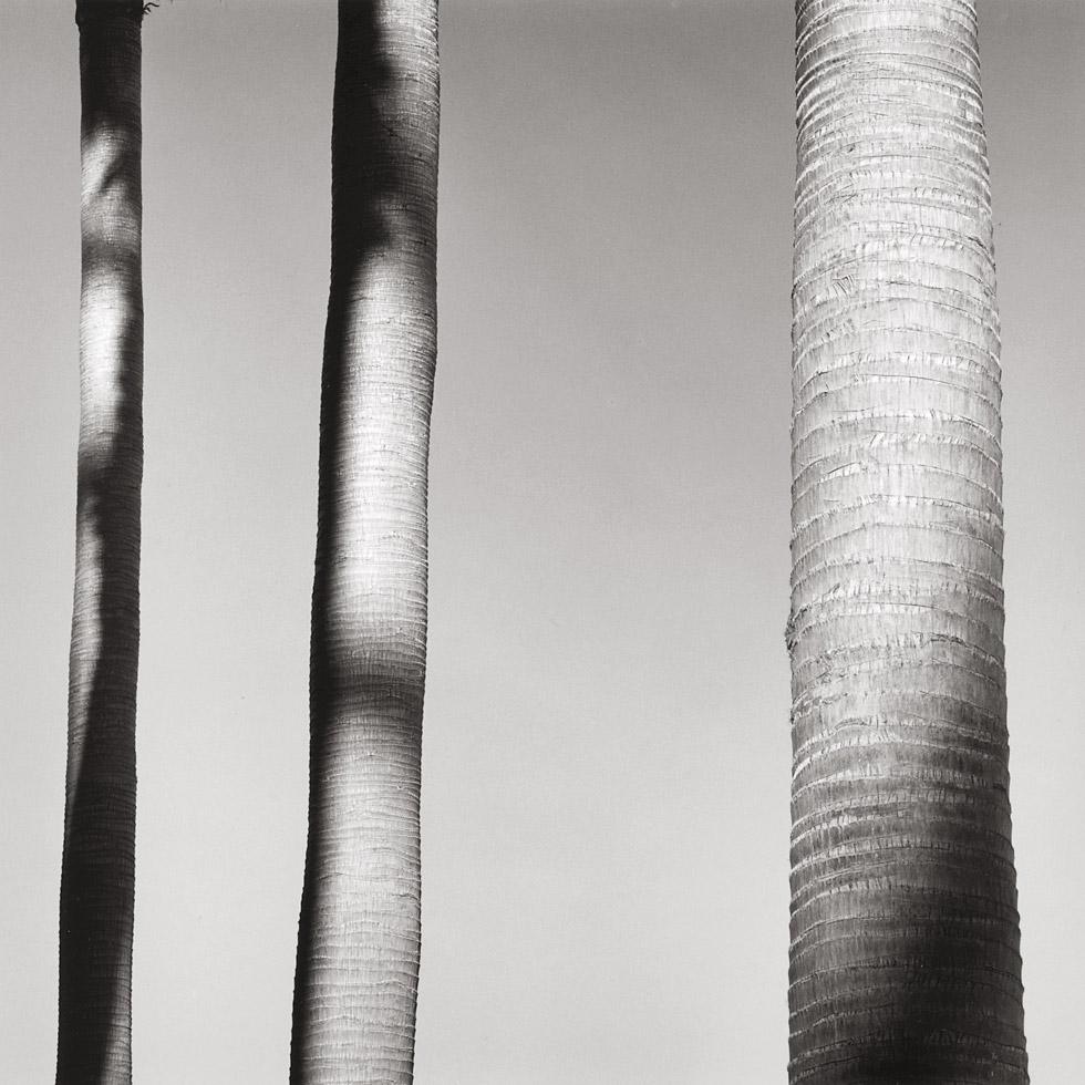 Black and White Photograph de Alan Ostreicher - Sin título 507-12