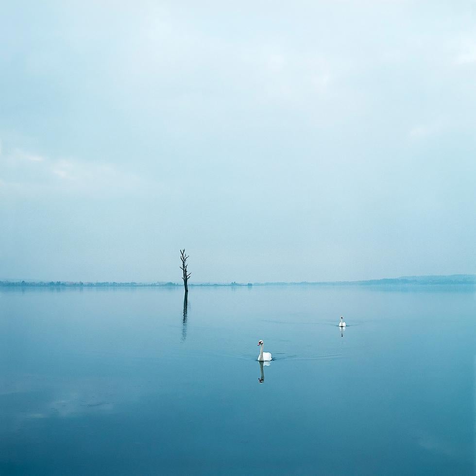 Evžen Sobek Color Photograph - Untitled (Swans)