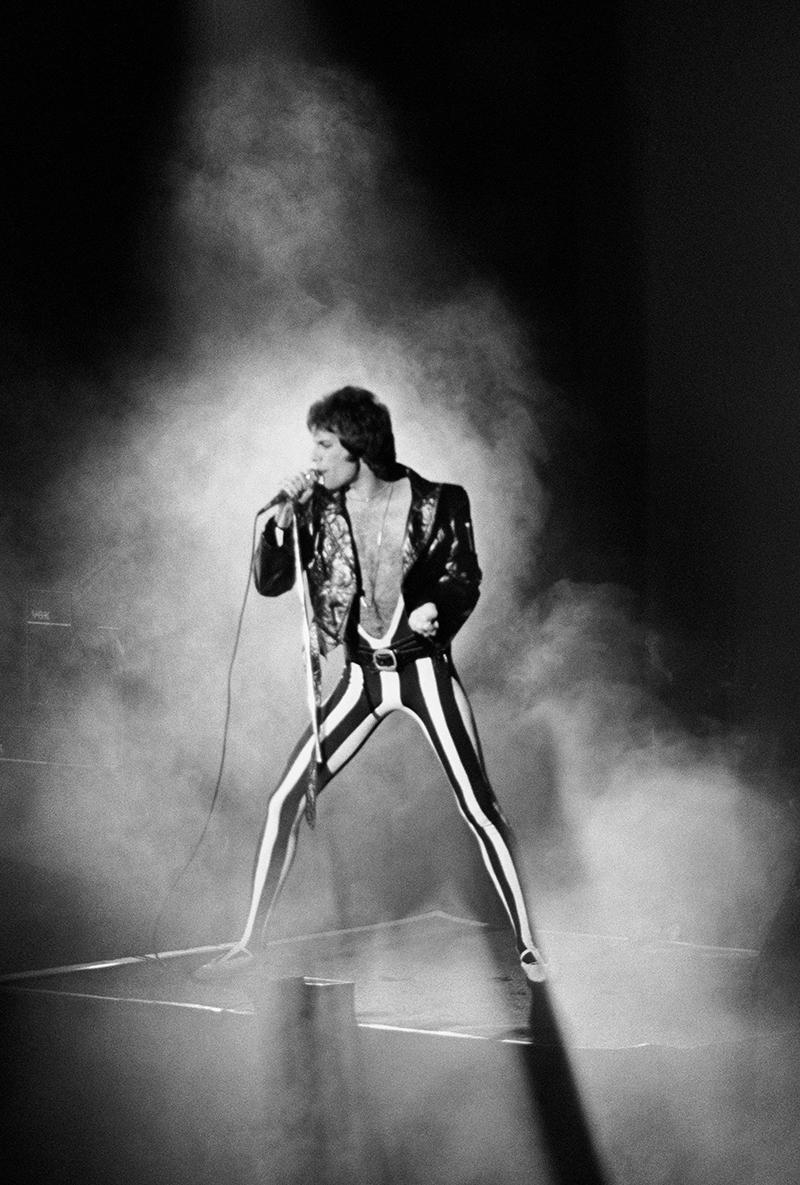 Tamara F Portrait Photograph - Queen (Freddie Mercury)