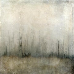 Brouillard à Blackman Field