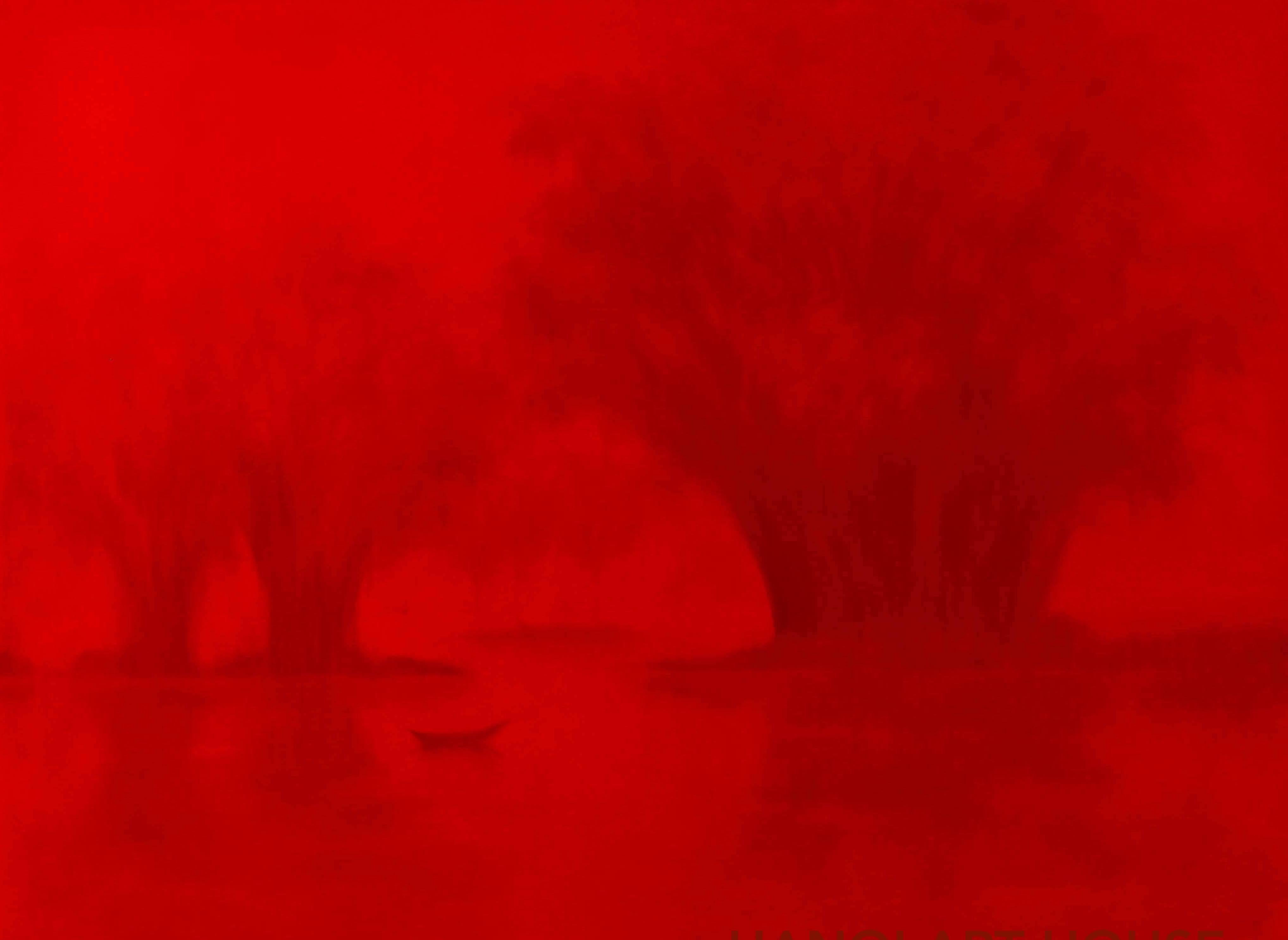 Hoang Duc Dzung Interior Painting - Quiet Moments 21st century Asian landscape oil painting misty red 