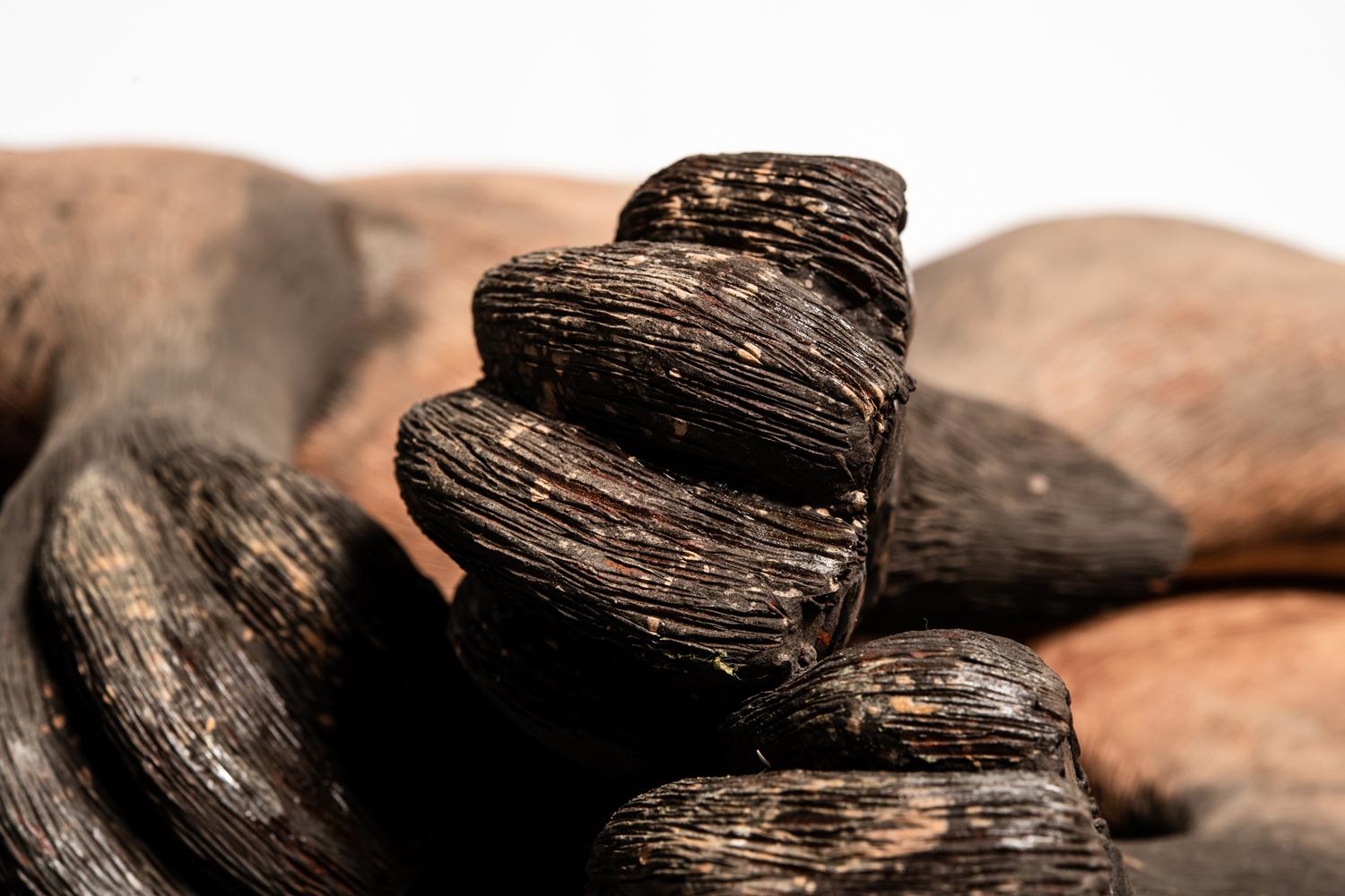 Back to Earth For Sale 1